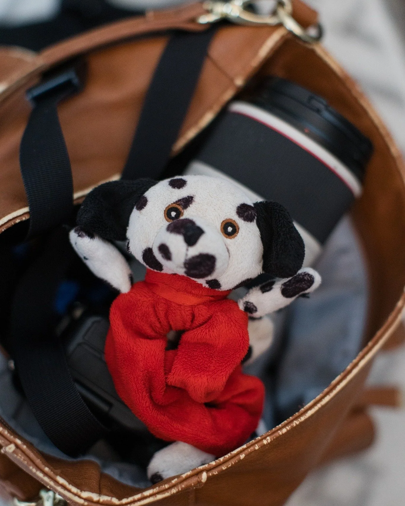 The busy fall season is allllmost coming to a close (!!) and I wanted to pay tribute to the true MVP of ++almost++ all my family sessions. 

The camera?  yes, important. 

But this guy....I owe a LOT of sweet smiles and pure laughs from my under 7 au