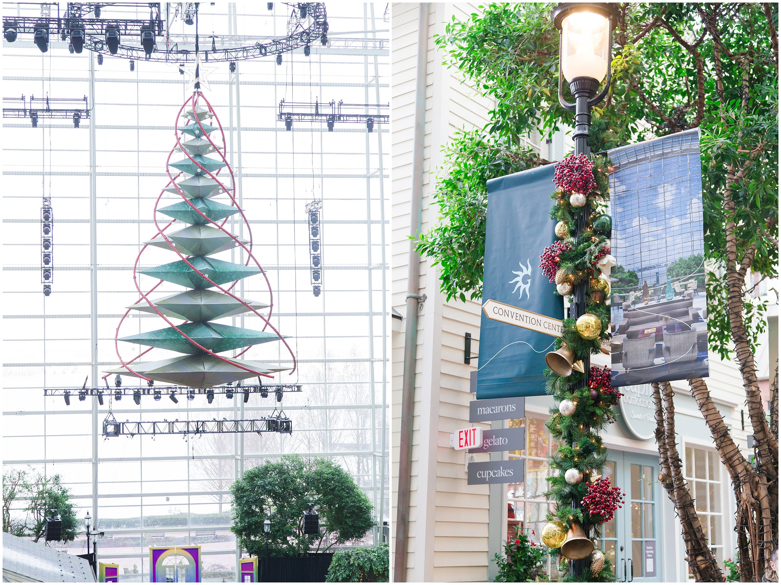 Gaylord-Christmas_0001.jpg