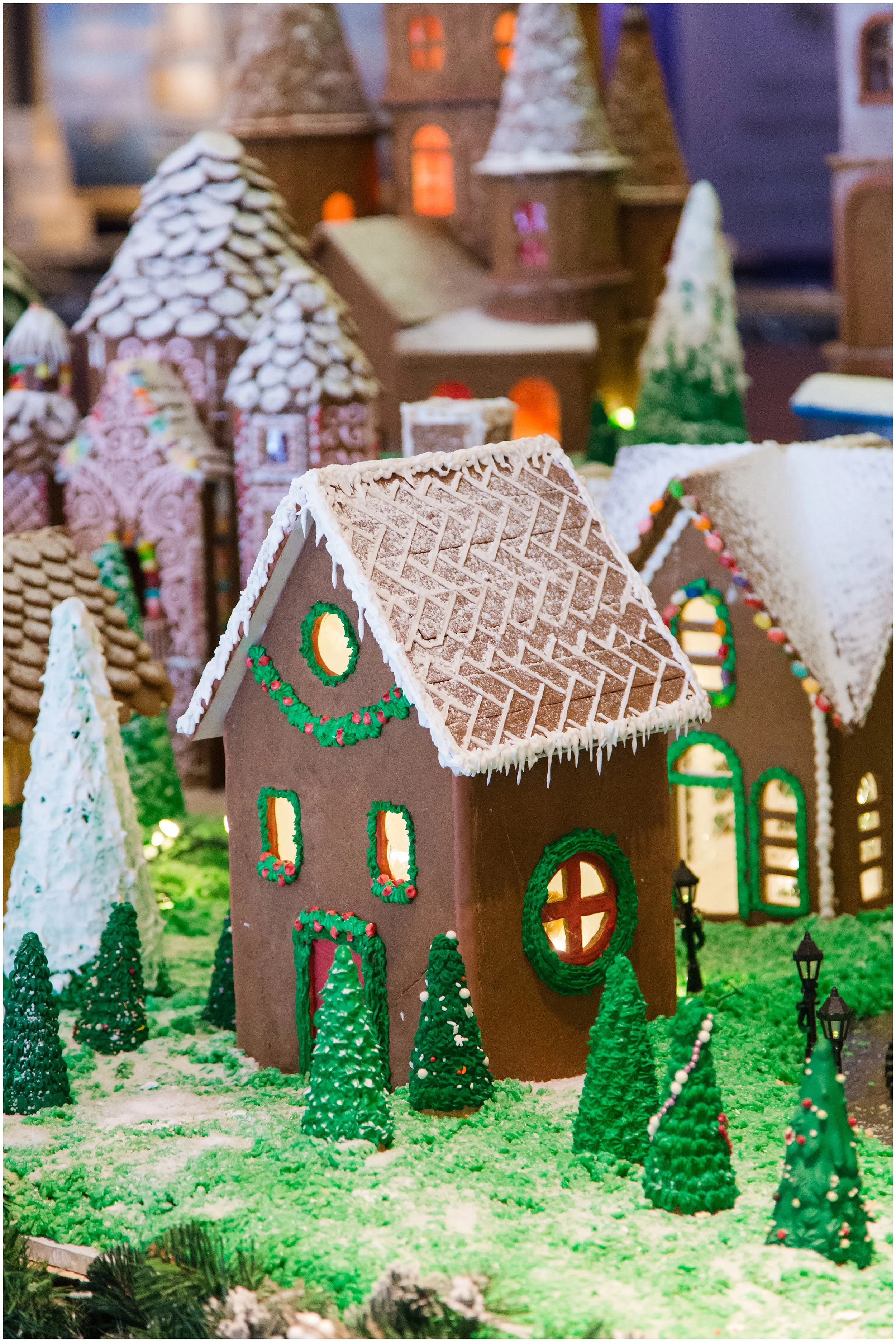 Gaylord-Christmas_0009.jpg