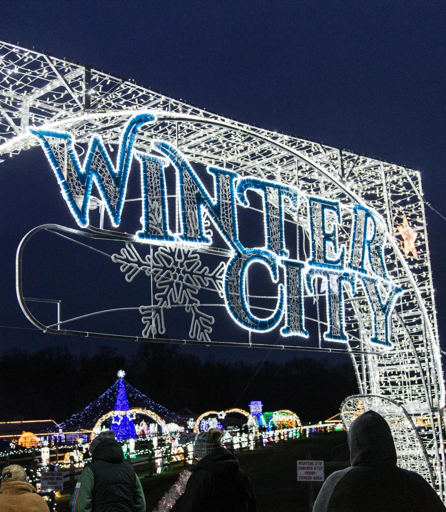 Checking out Winter City lights in Olney!