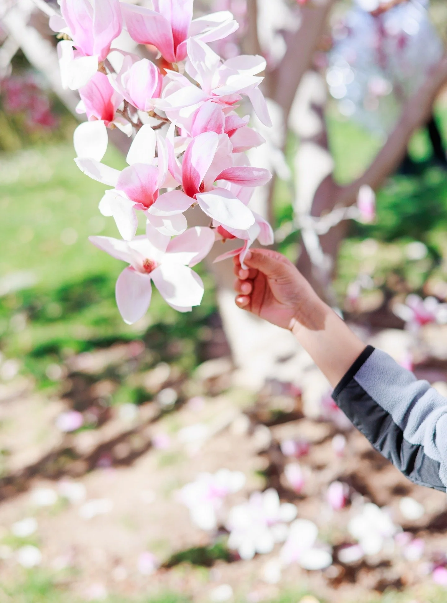 I know it still feels like winter&hellip;
but spring sessions are closer than you think.

Soft greens. Blossoms. That fresh air energy.
And kids who are finally happy to be outside again.

Spring has quietly become one of my favorite seasons for fami