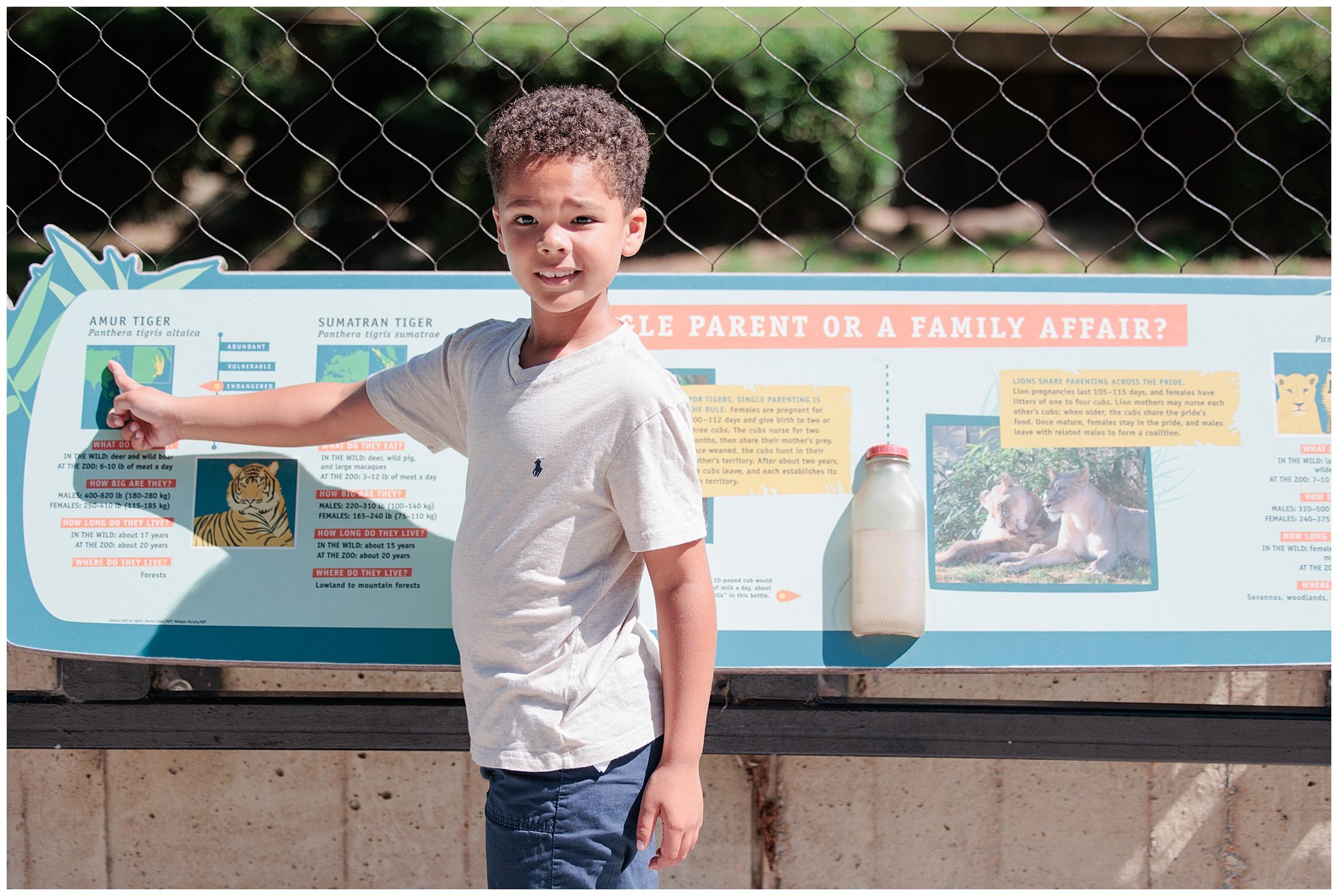 Weekend Trips Near DC: A Simple Family Day at the National Zoo
