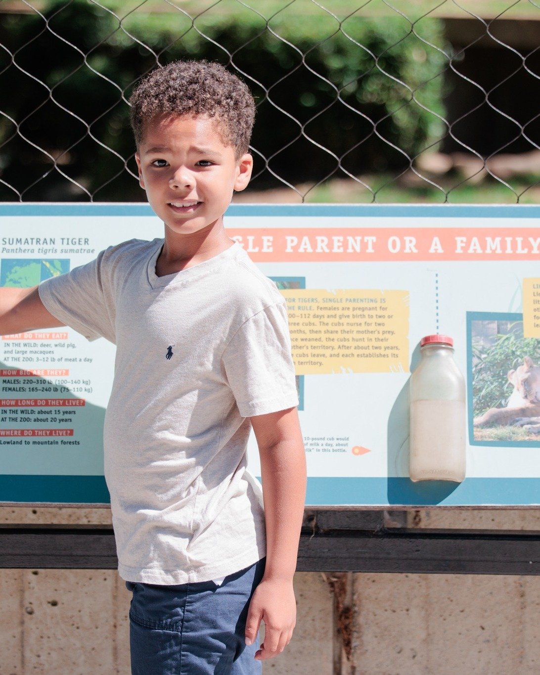 We spent a morning at the National Zoo this weekend, and it was exactly the kind of outing I love. Nothing fancy, nothing planned weeks in advance, just a family day together.

My son was excited about pretty much everything (mostly food, but whateve