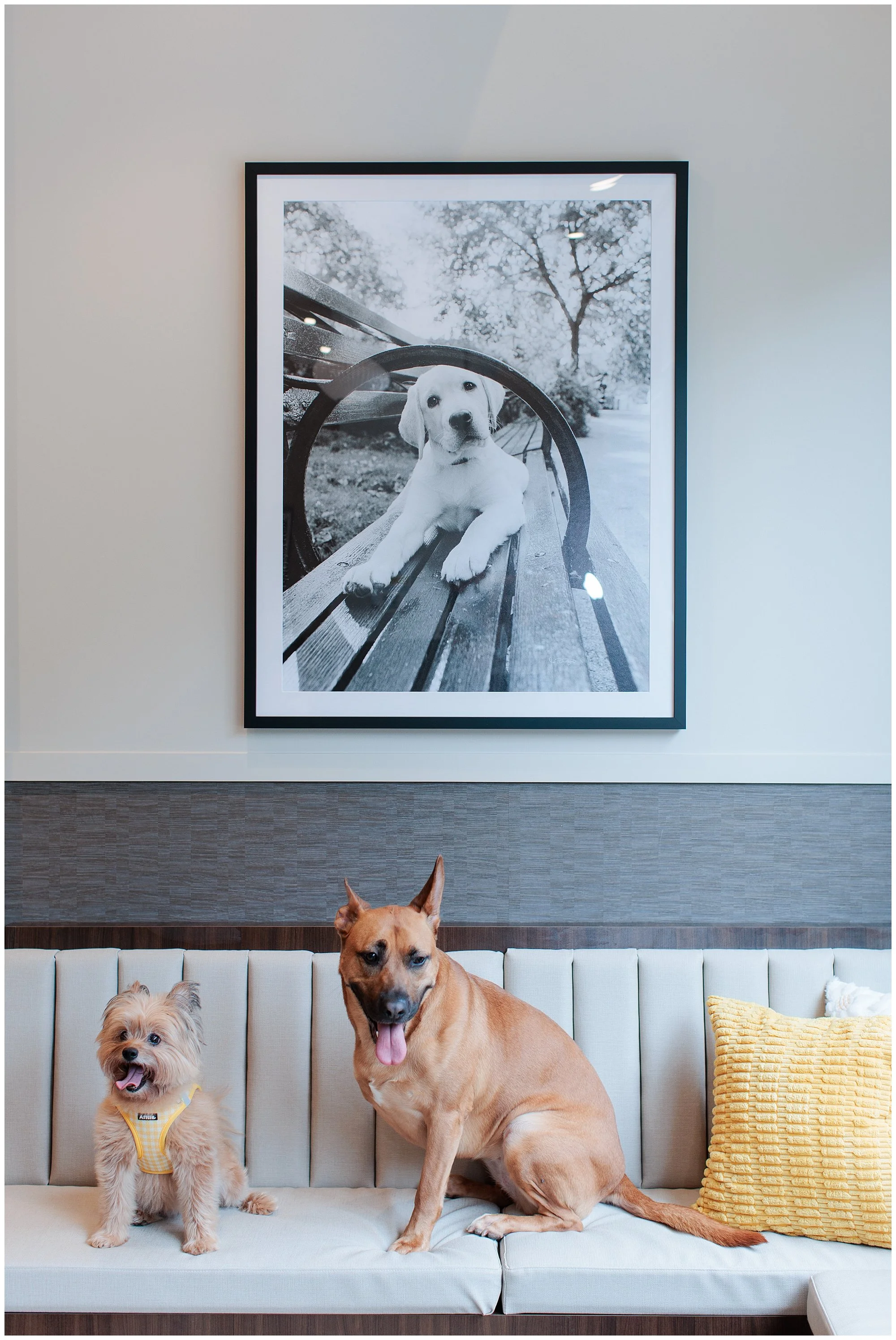 Small Business Branding Photography