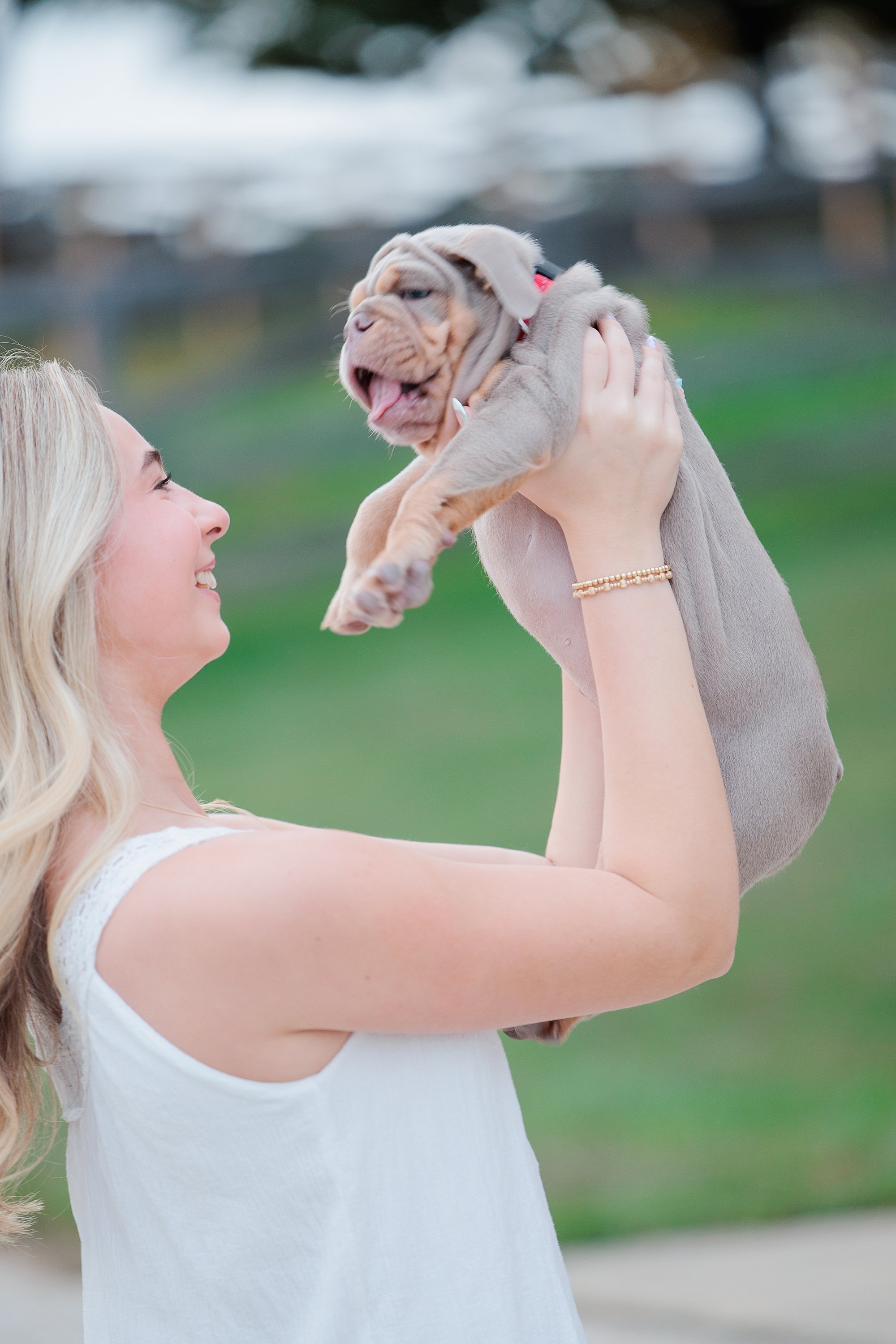 senior girl holding up puppy bulldog