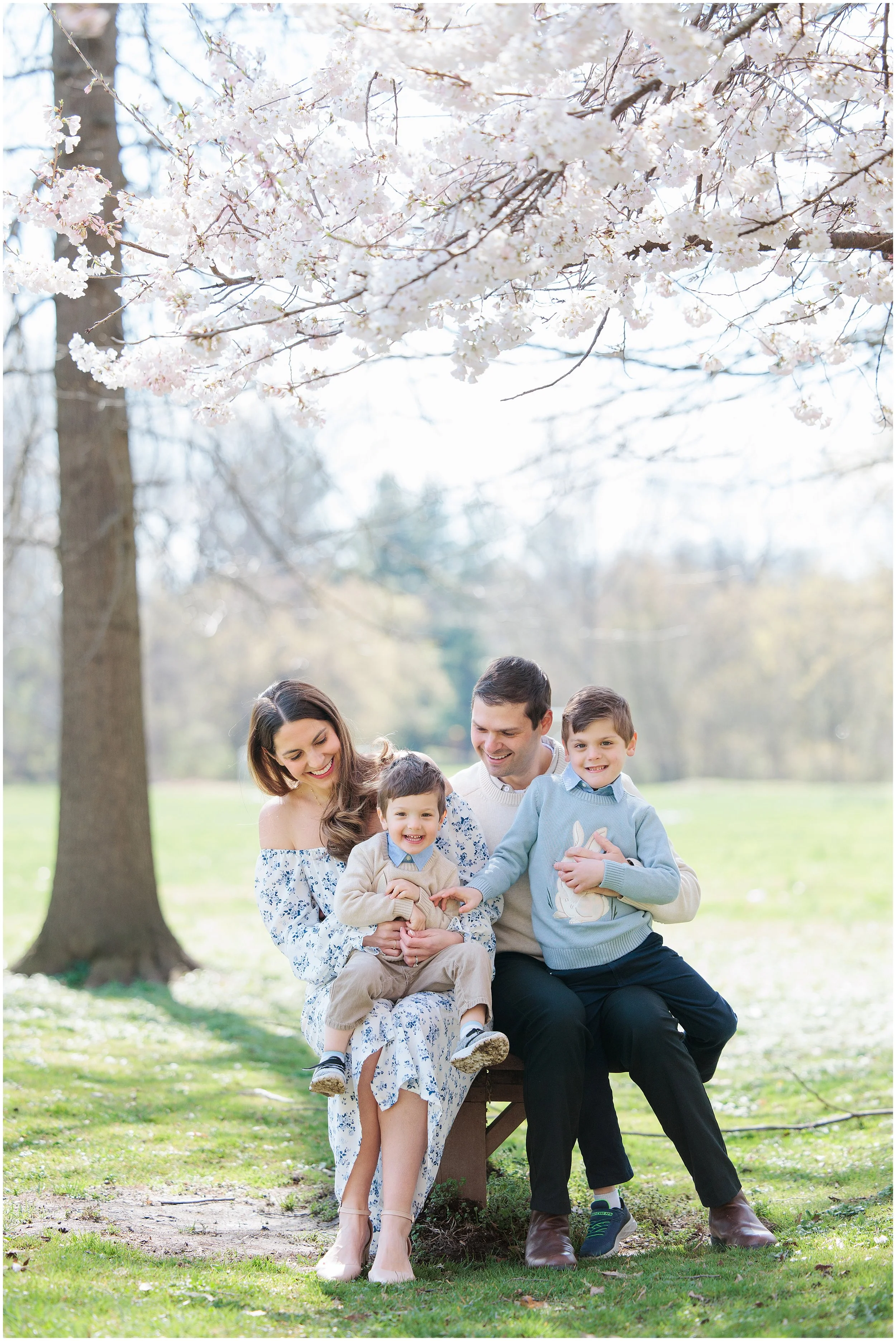 family walking in cherry blossoms in silver spring md