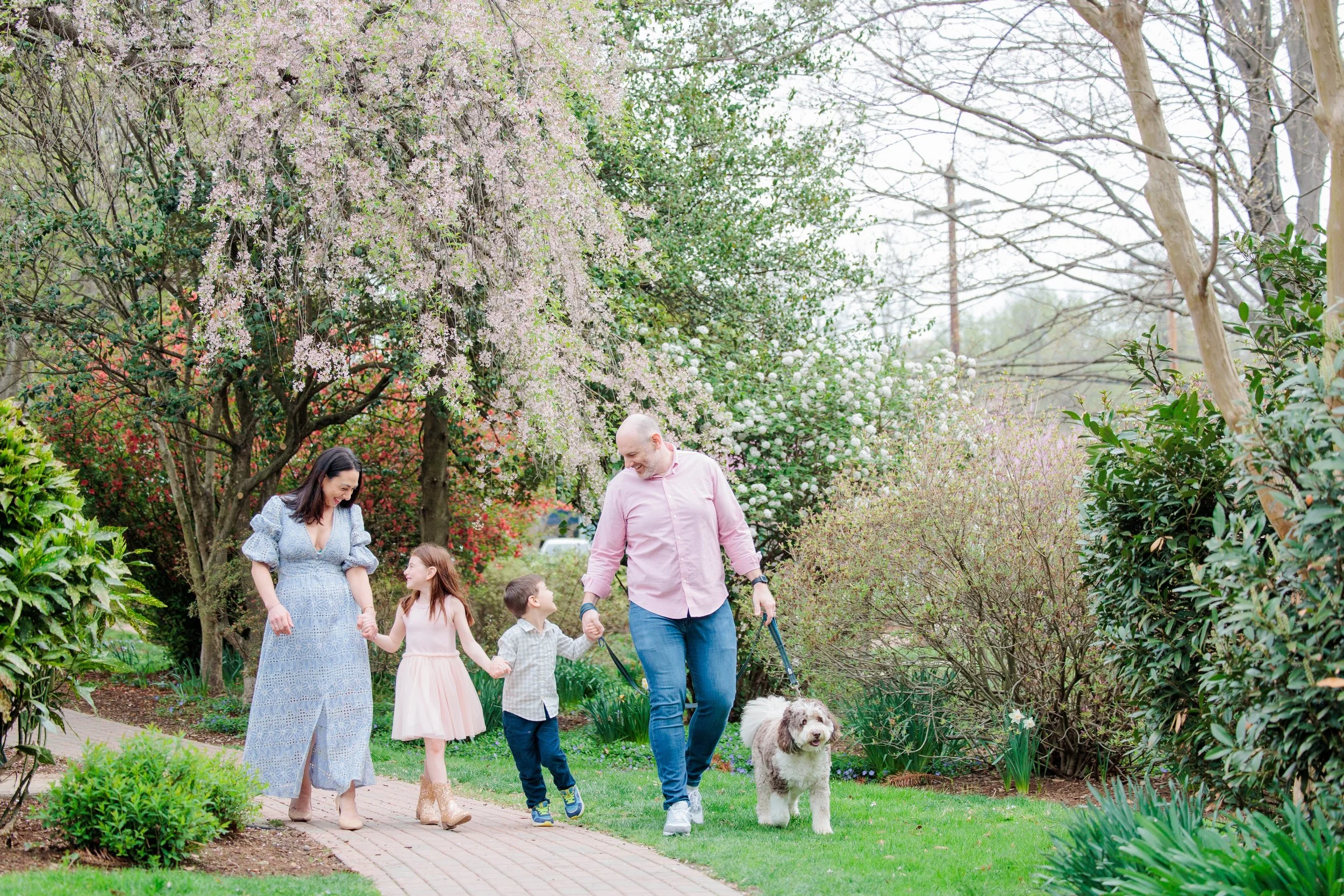 Family walking together with their dog along a garden path during a spring photo session in Montgomery County, Maryland
