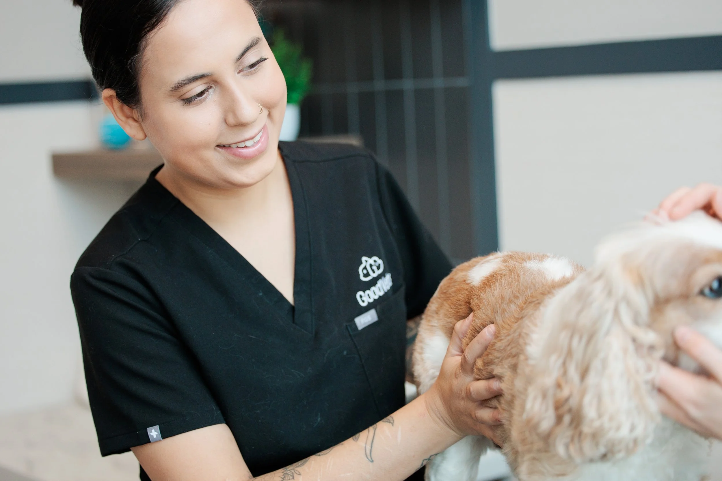 brand photo shoot for vet clinic in Silver Spring Maryland