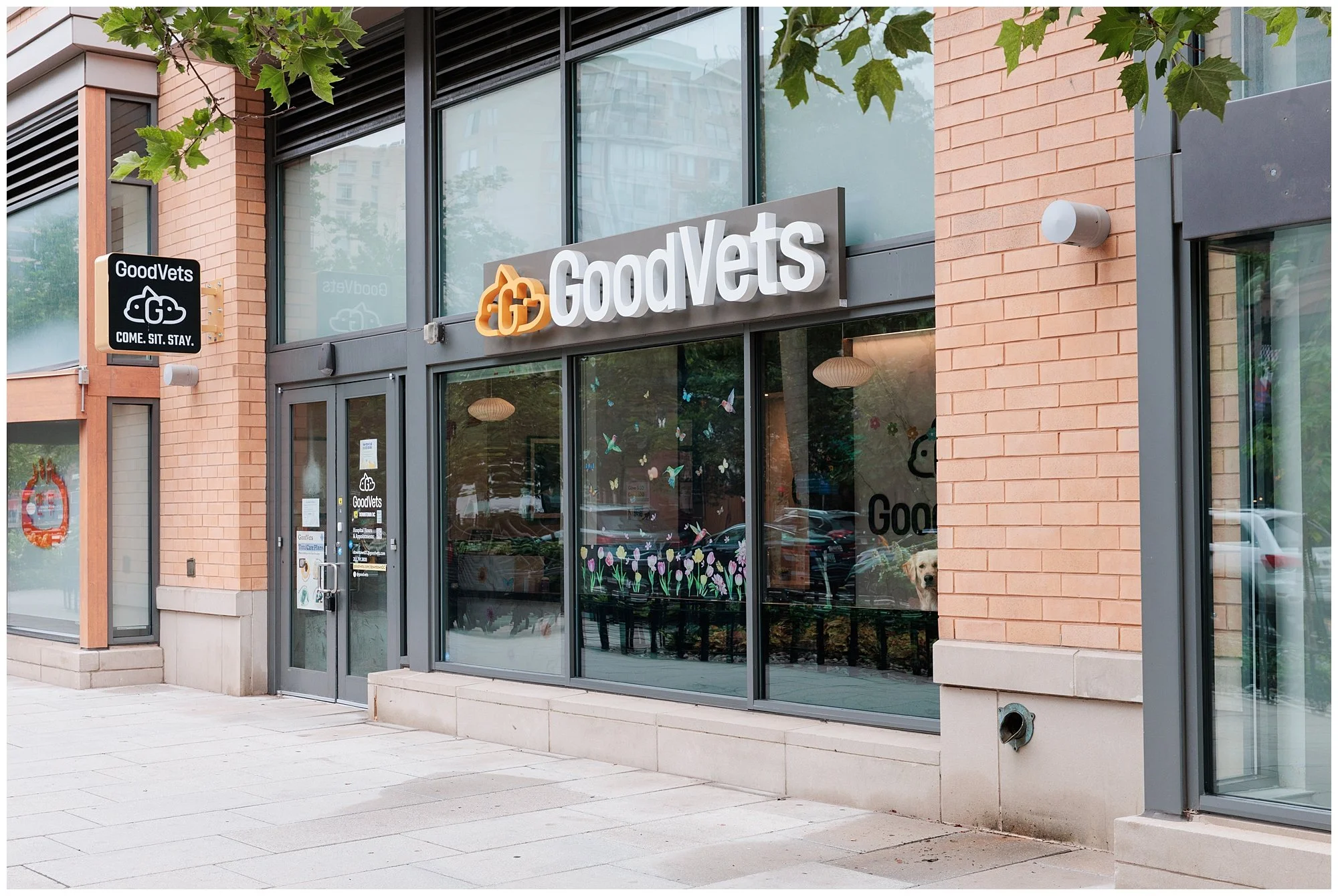 outdoor storefront of Good Vets in downtown Washington DC