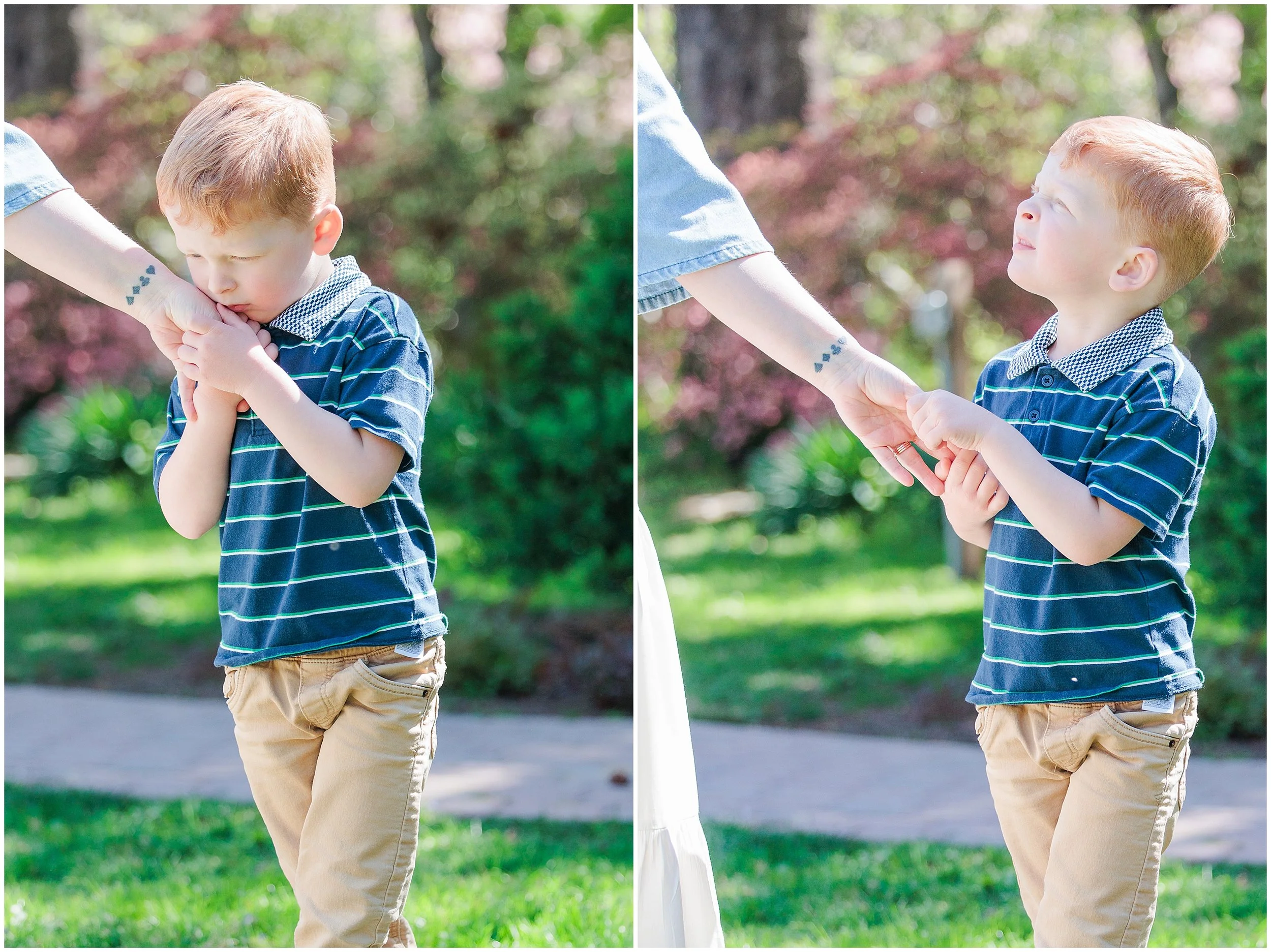 young boy kissing mother’s hand and holding her hand during spring family photos in Kensington MD