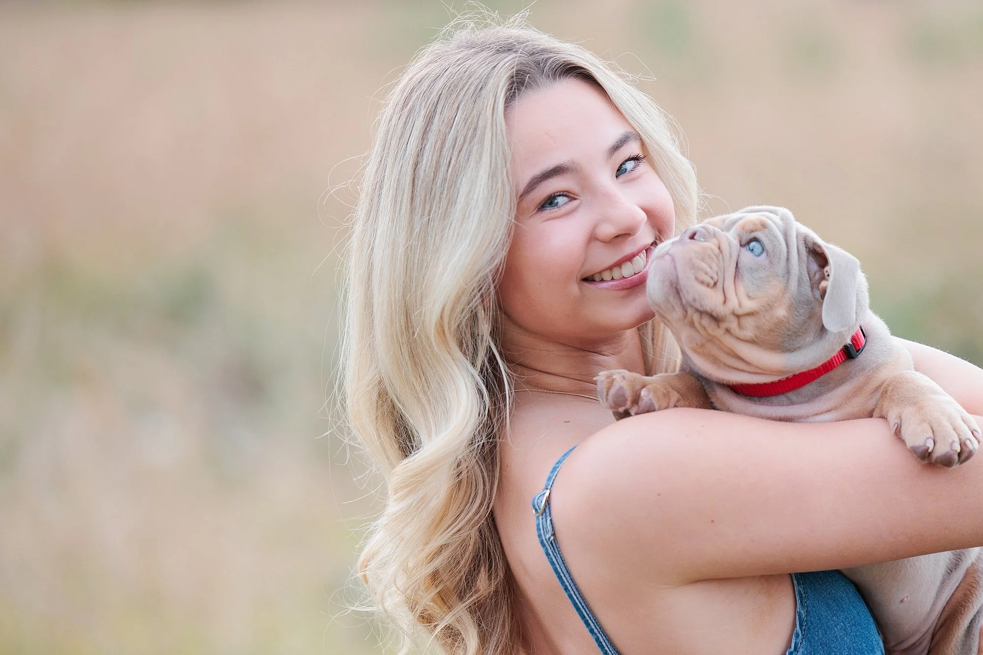 senior girl with puppy bulldog during senior photo session