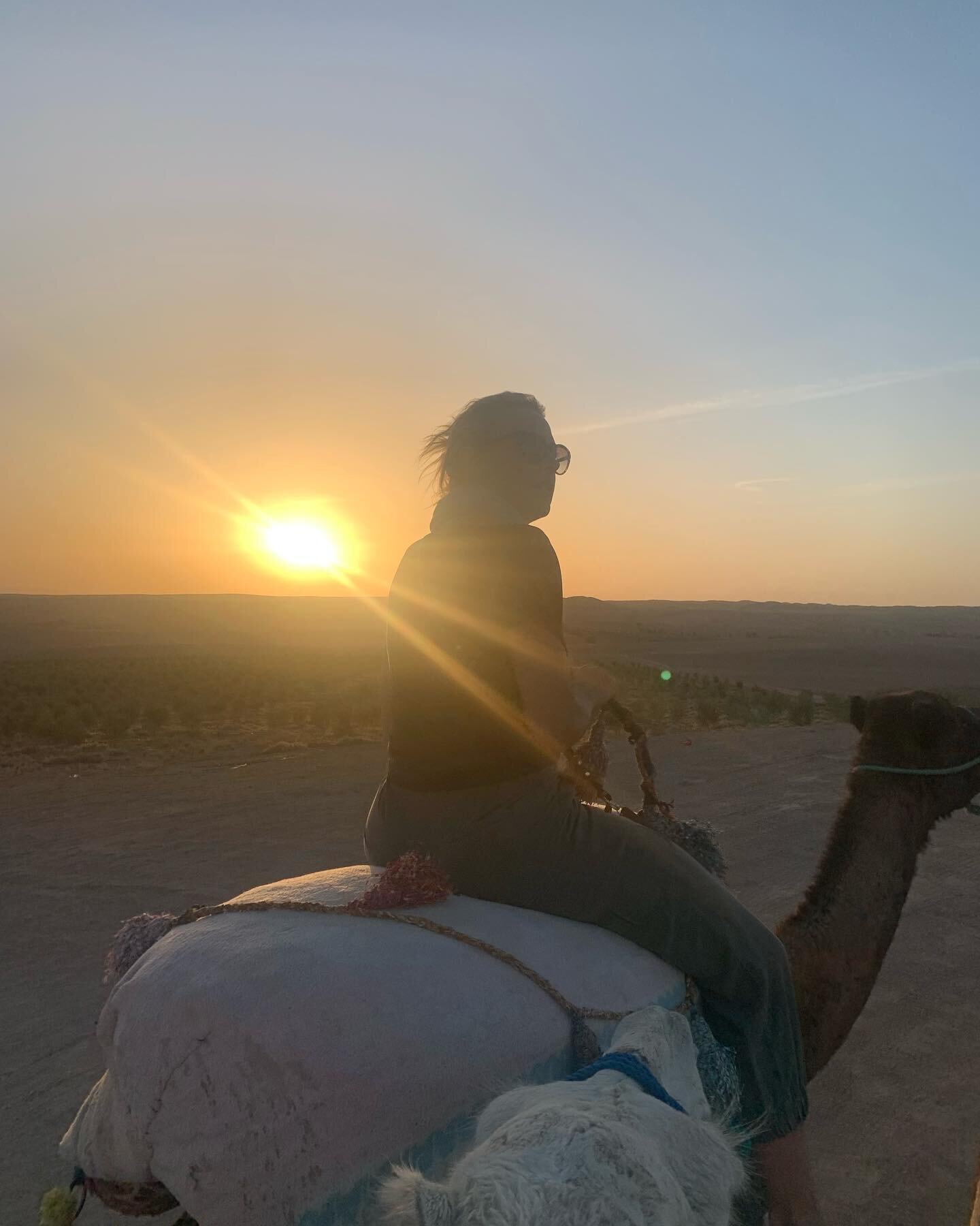 Who wants to ride off into the sunset with us?!! We have two more spots left for Morocco 🇲🇦 Are you ready?!! 🐪 ☀️ 🏄&zwj;♀️ 🌊 #morocco #moroccoretreat #wellnessretreat #yoga #yogaretreat #iamfit4travel #travel #wanderlust #camel