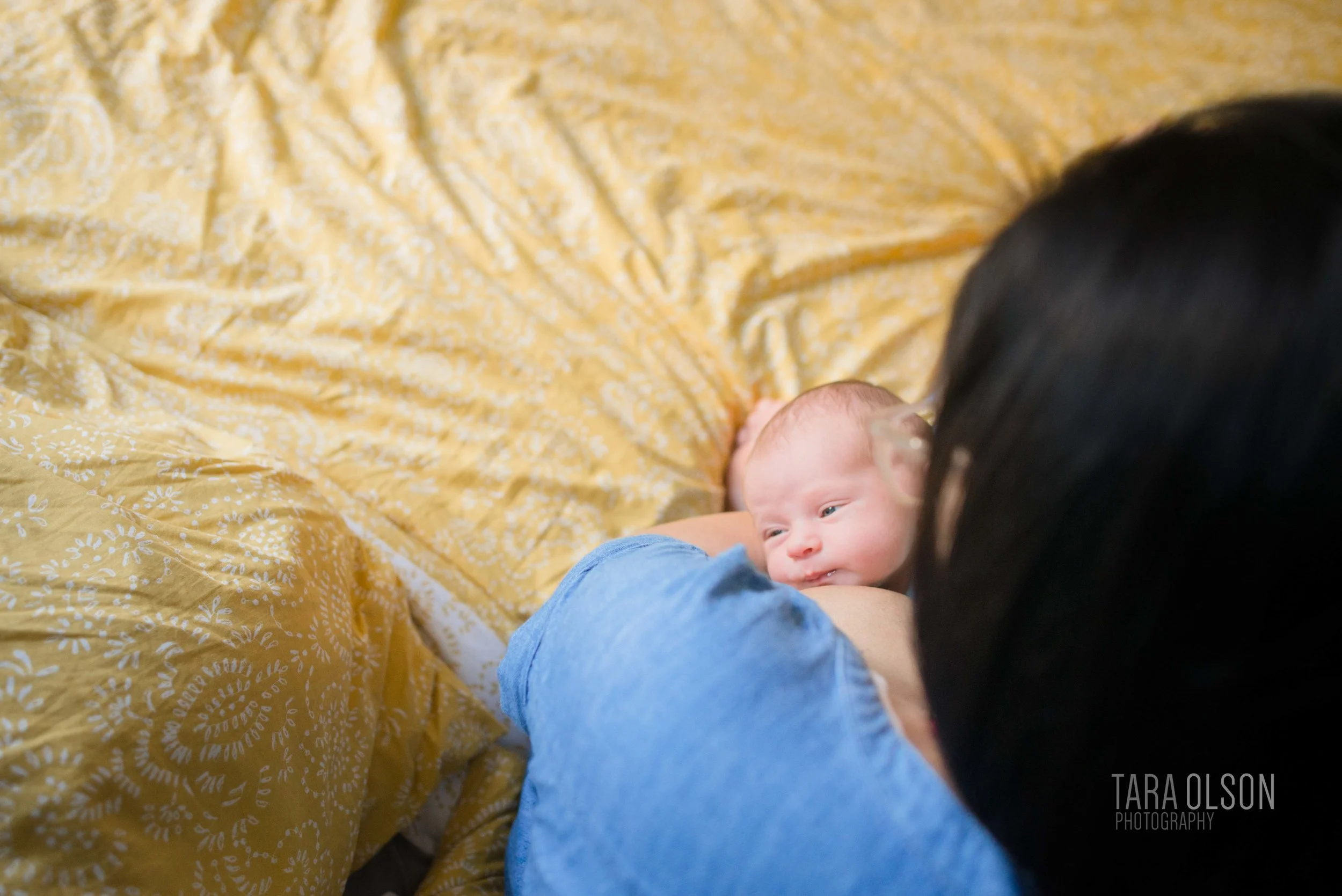 Washington DC Newborn Lifestyle Photographer
