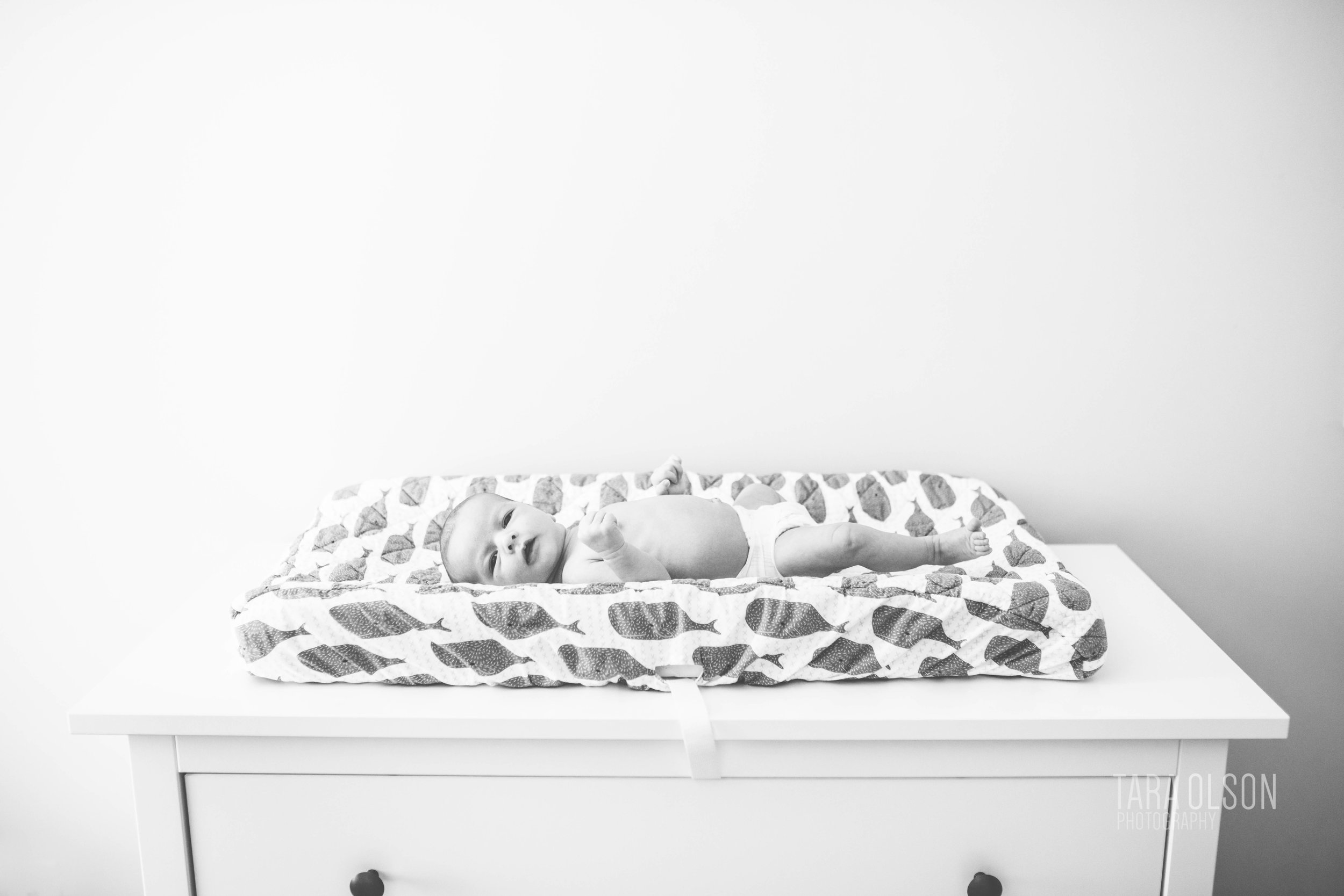 Alexandria Virginia Newborn Lifestyle Photographer