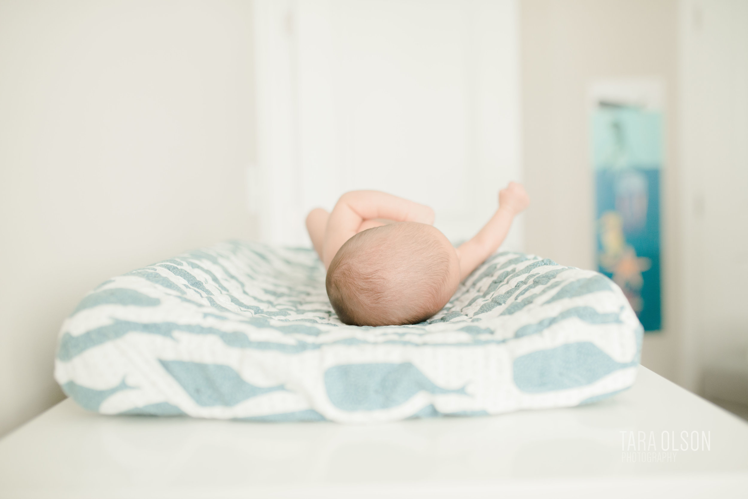 Alexandria Virginia Newborn Lifestyle Photographer