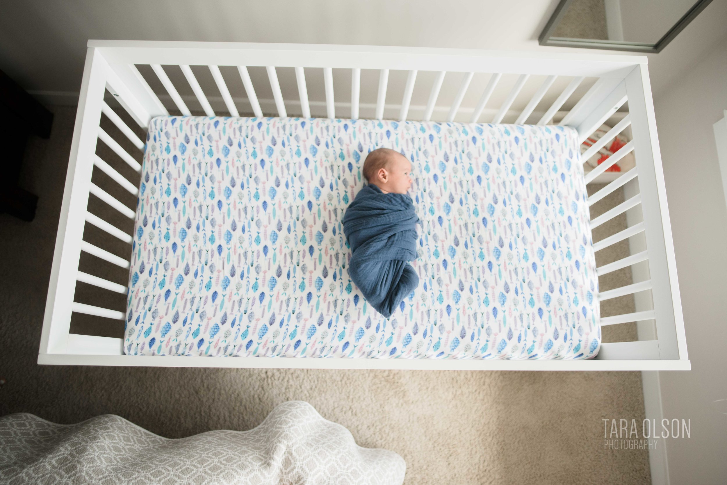 Alexandria, Virginia In Home Newborn Session