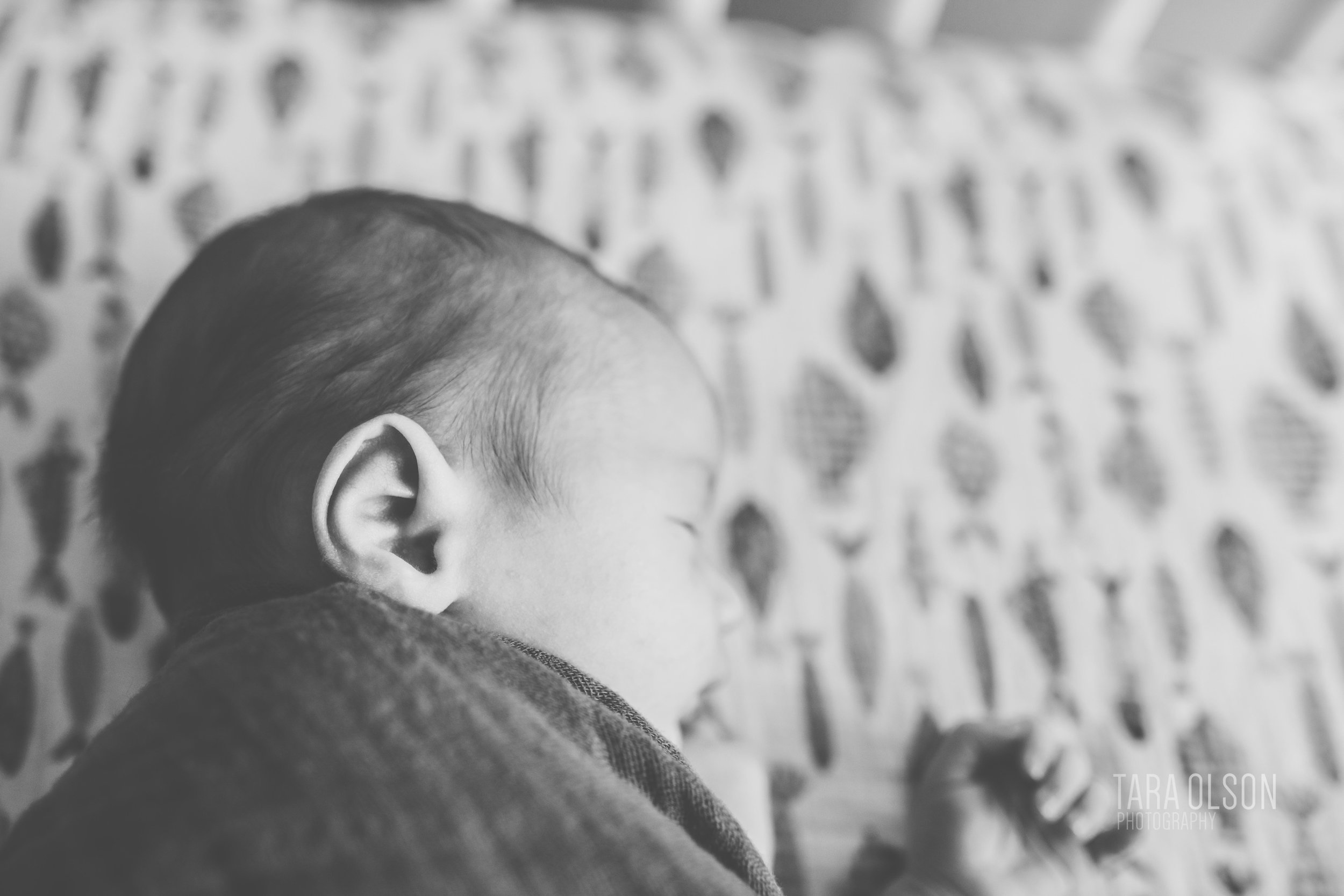 Alexandria, Virginia In Home Newborn Session