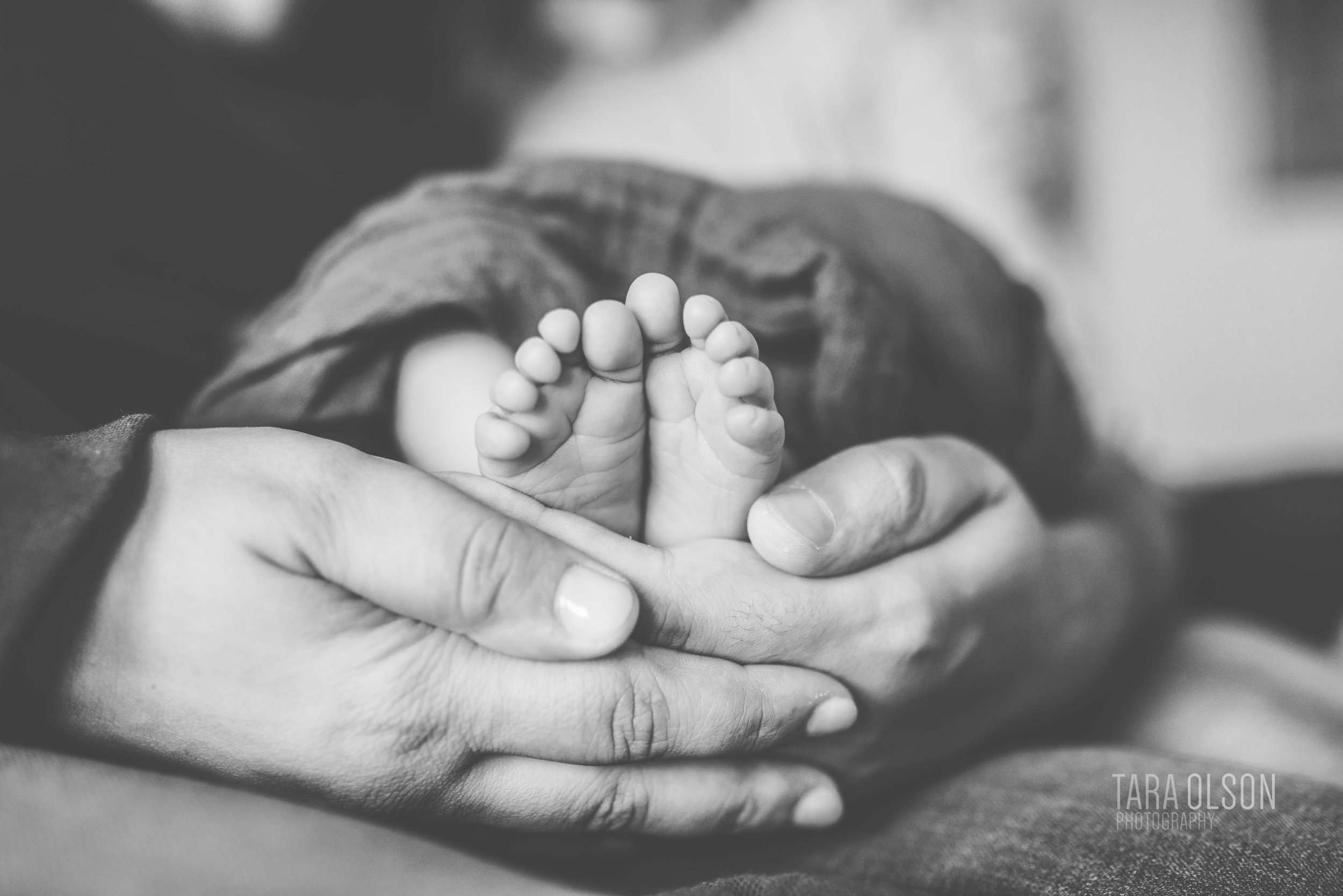 Alexandria, Virginia In Home Newborn Session
