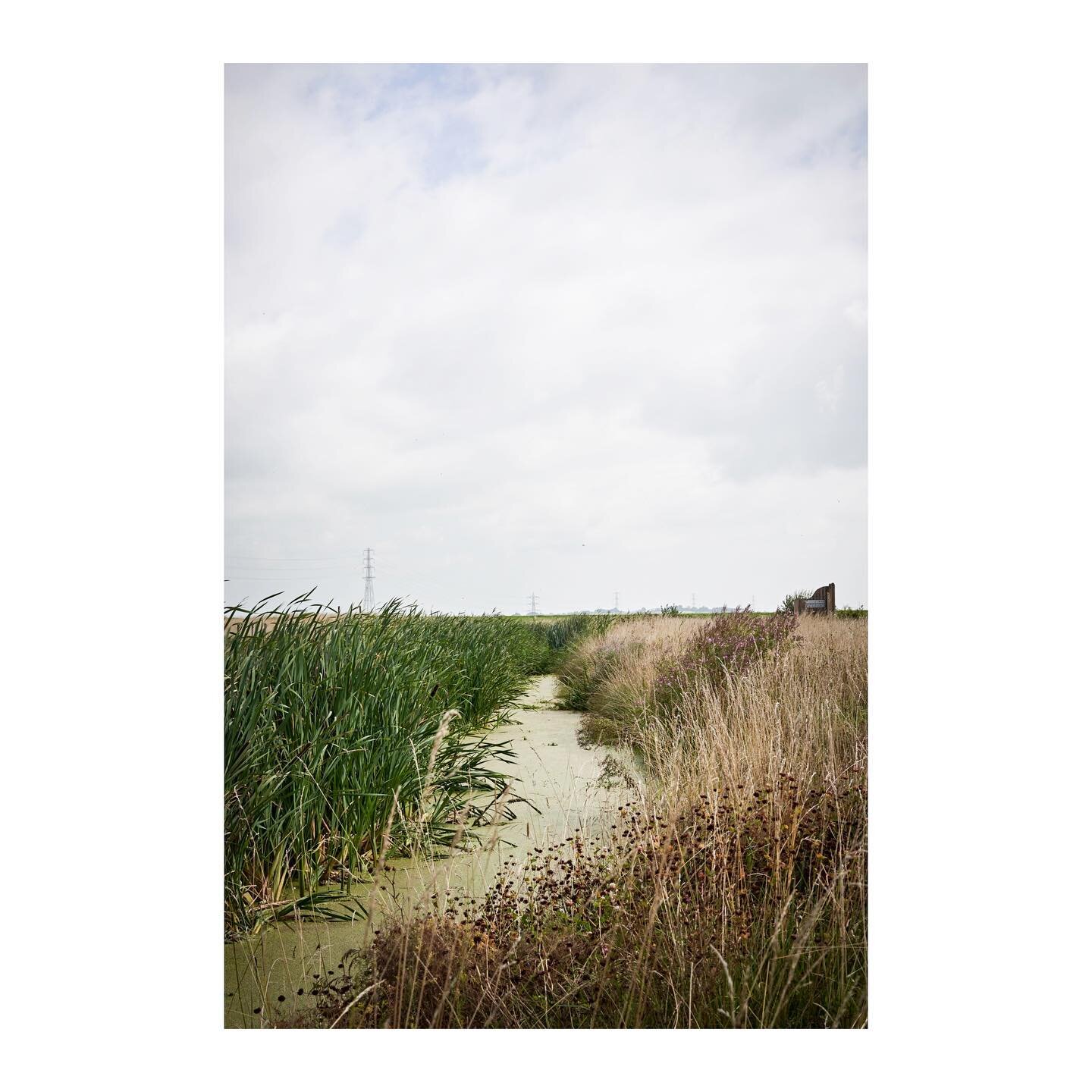 New walk&hellip;found our way to @wwtworldwide Steart Marshes along the gnarly River Parrett/Bristol ChanneI. The marshes are lovely, you can walk or cycle all the way round with plenty of info on the wildlife, and you can take your dog, they even ha