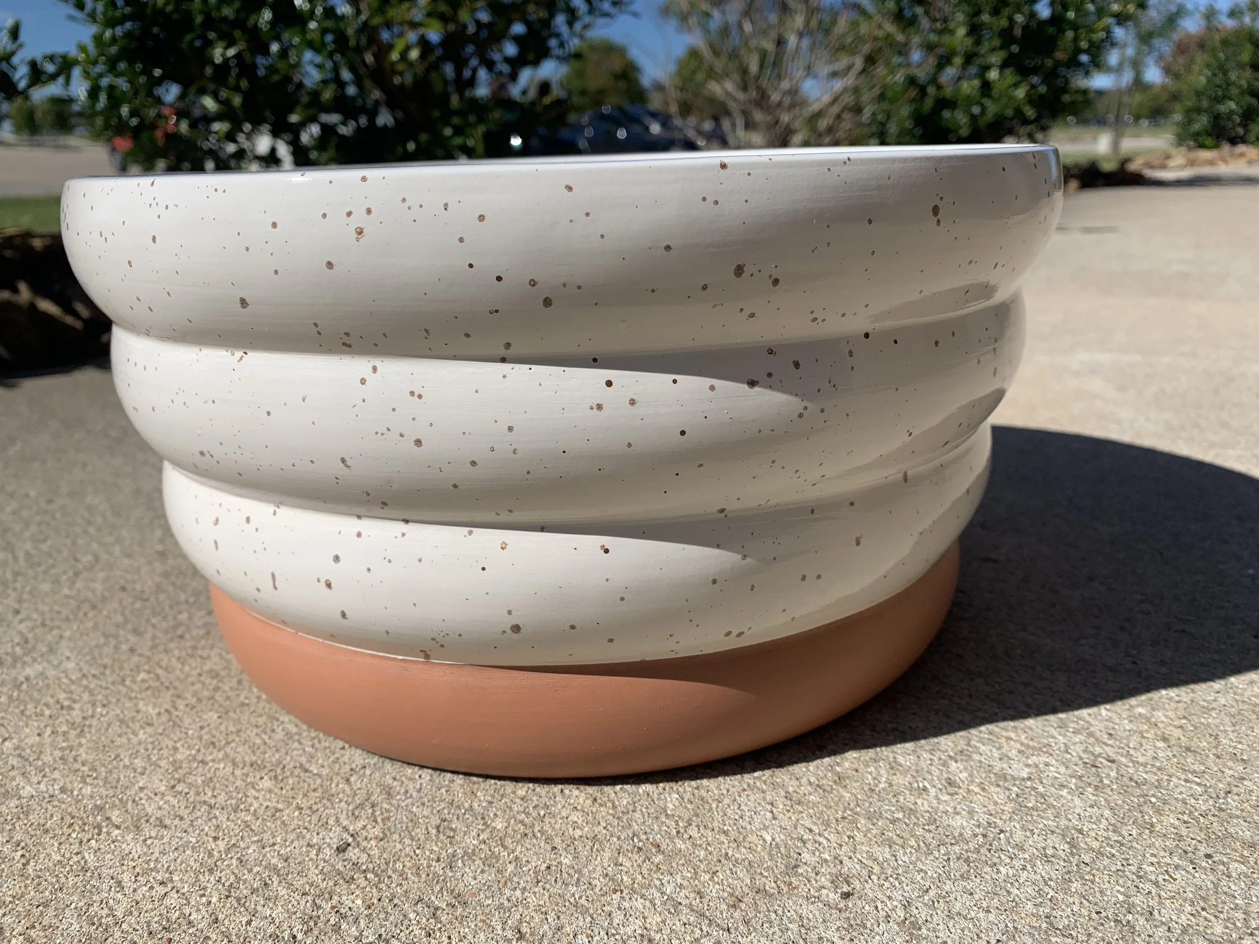 Photo_Nov_15_21 11-23-52 AM-10.jpeg