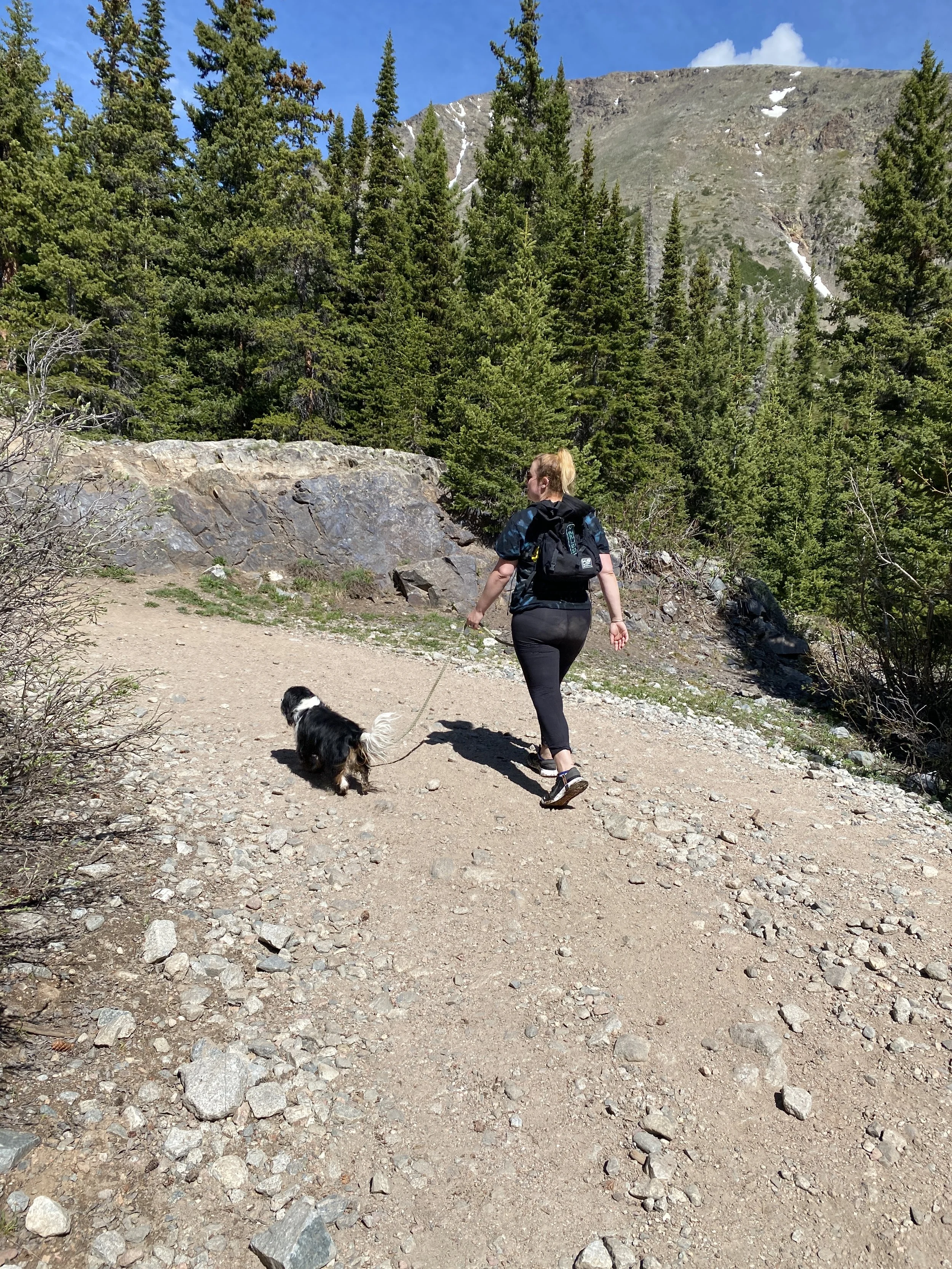 The Rocky Mountains, CO