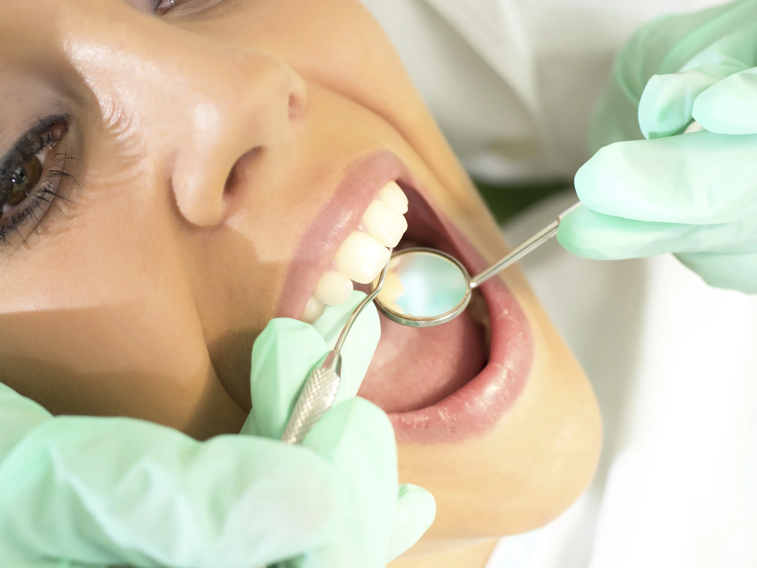 iStock_000072029147_Full.jpg