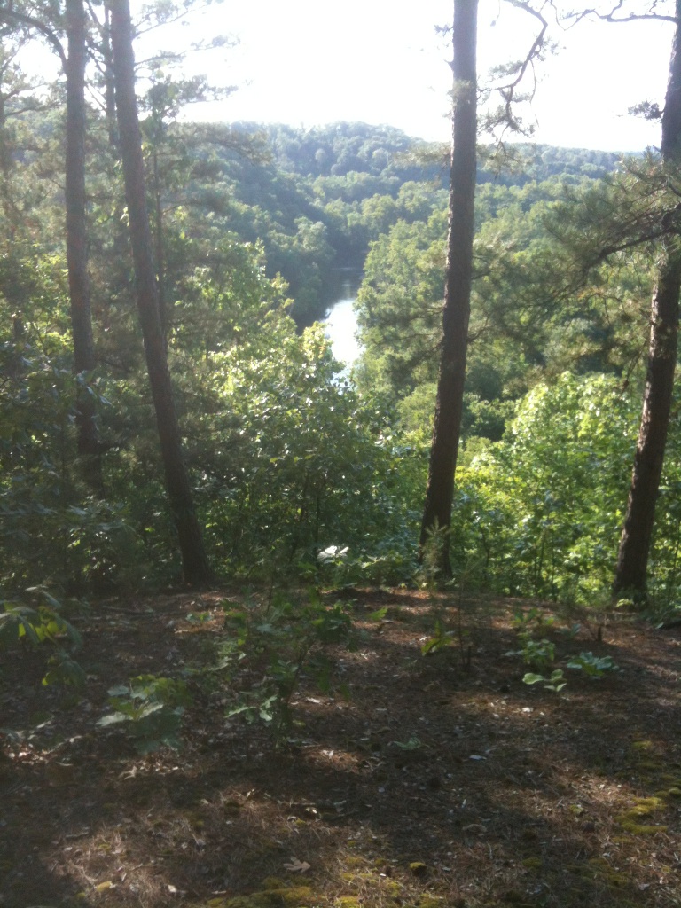 Week-5-Trail.jpg