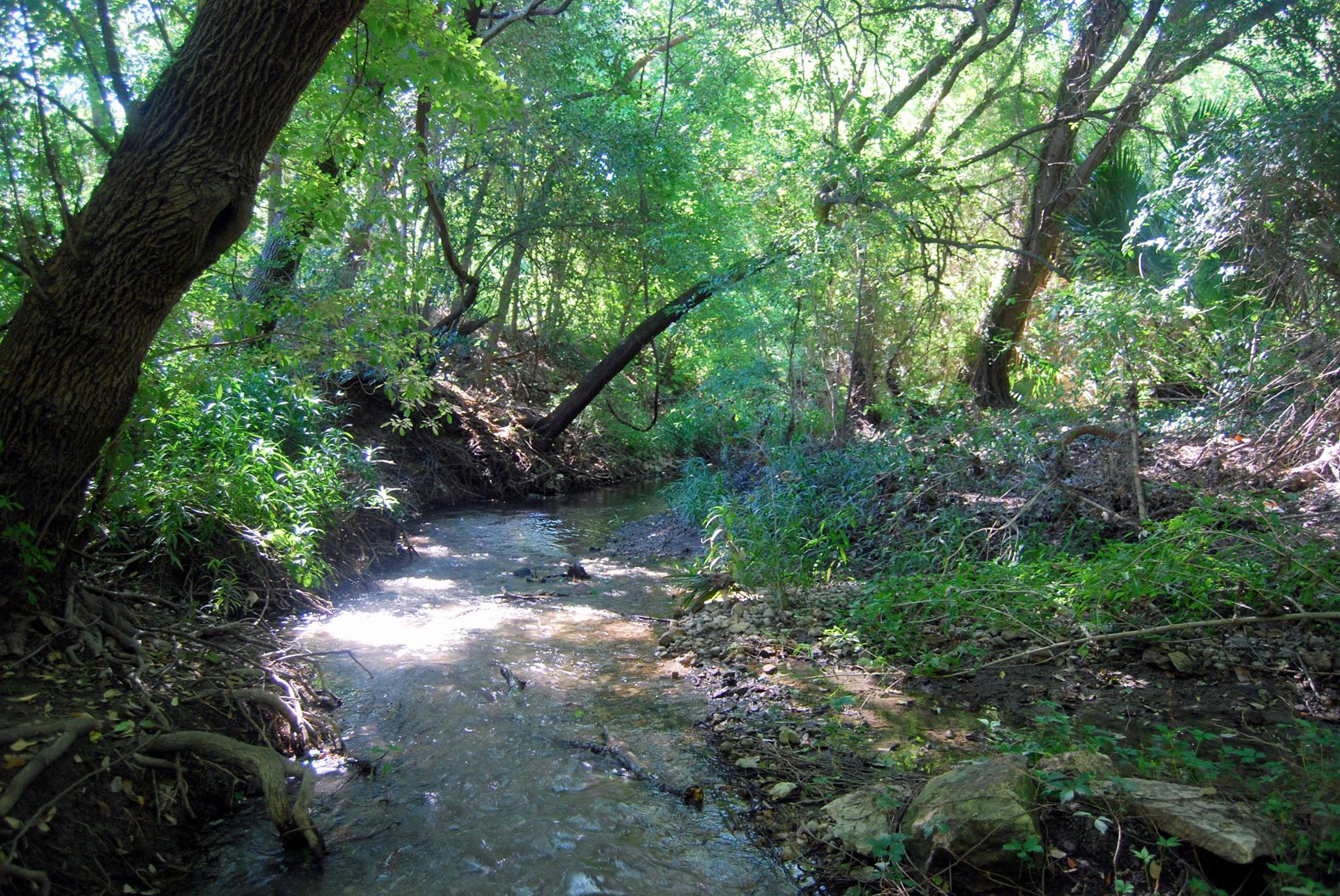 HIW San Antonio River 3.jpg