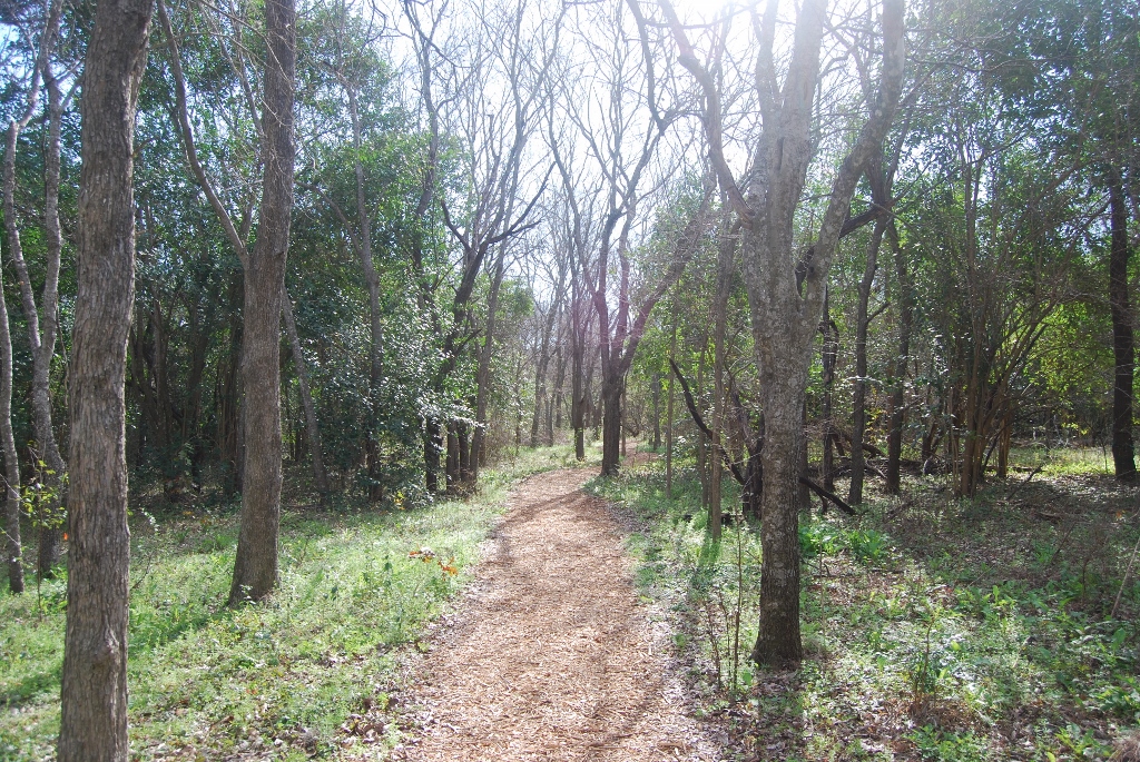 HIW nature gallery_Trail 1.jpg