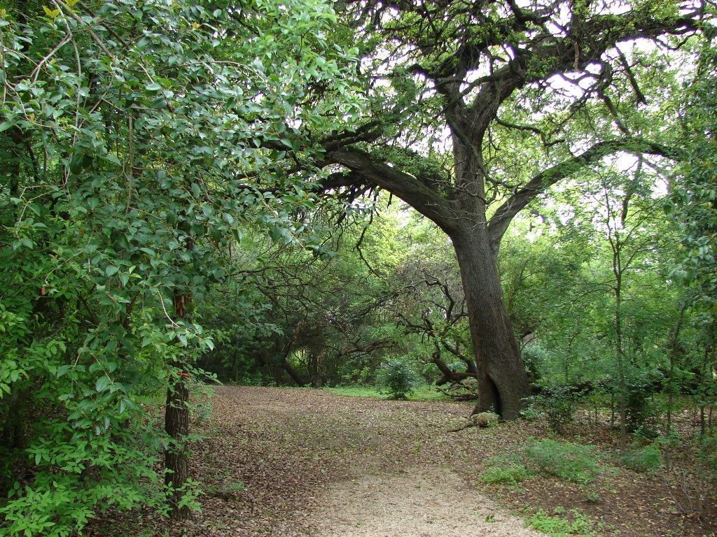 HIW nature gallery_Trail 2.jpg