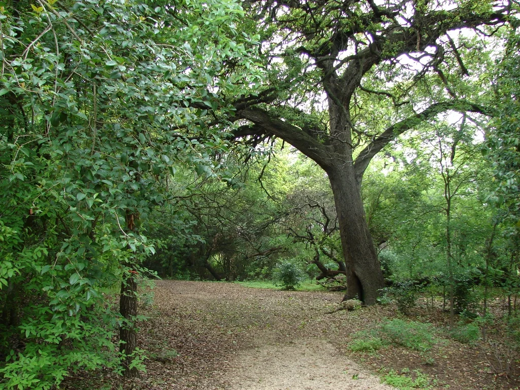 HIW nature gallery_Trail 2.jpg