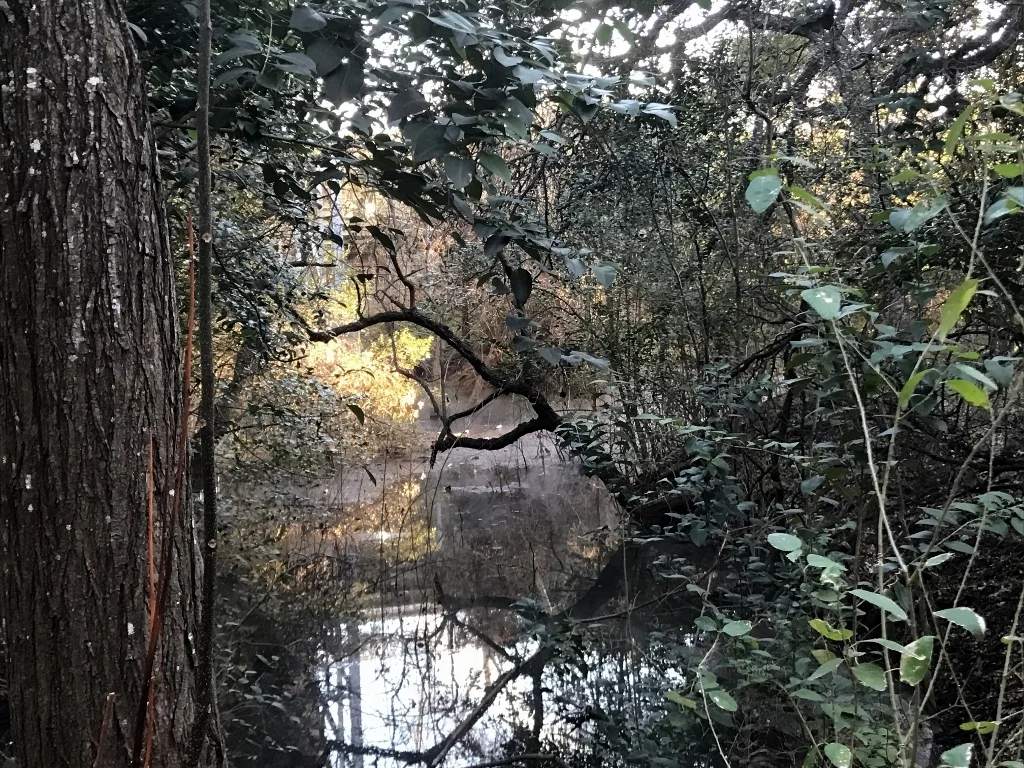 HIW nature gallery_River 2.jpg