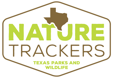 LOGO_Nature Trackers.png