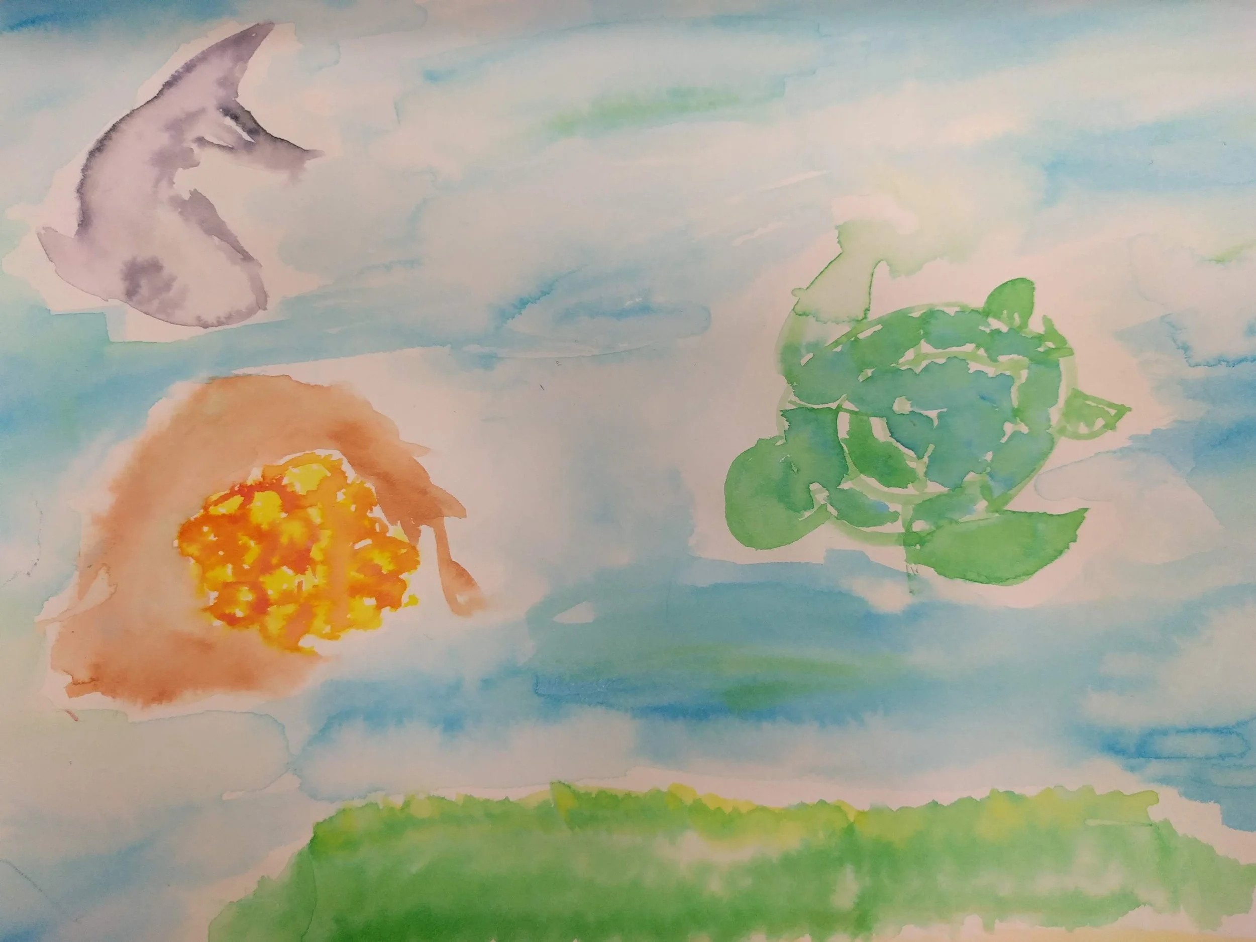What Water Means to You from workshop