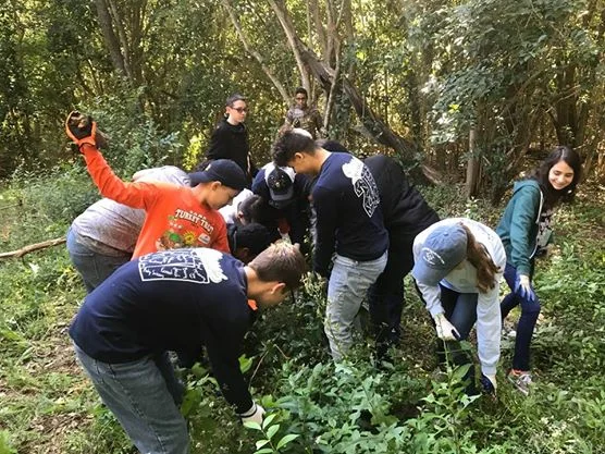 Headwaters Volunteer Workday