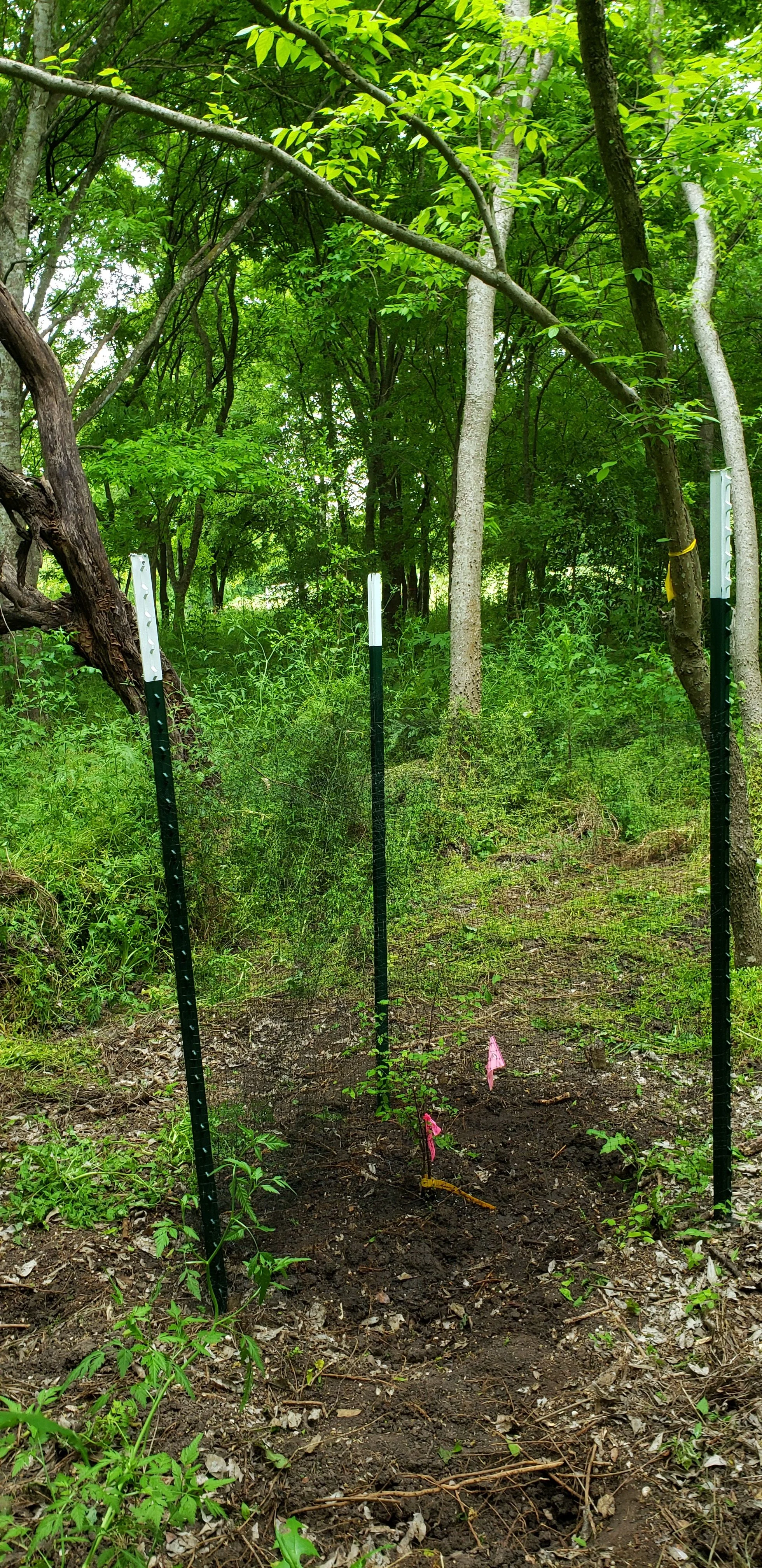 Headwaters Volunteer Workday