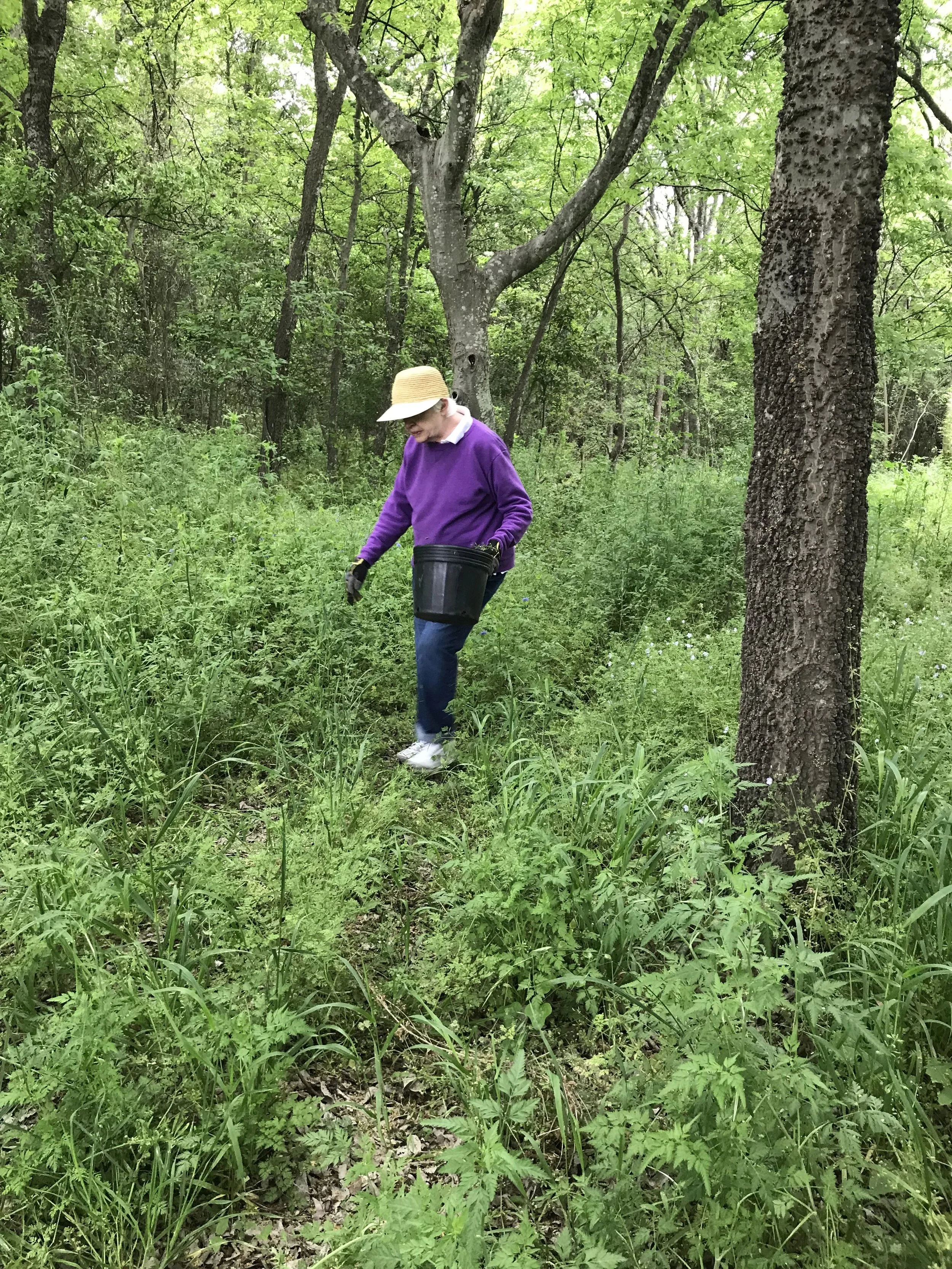 Headwaters Volunteer Workday