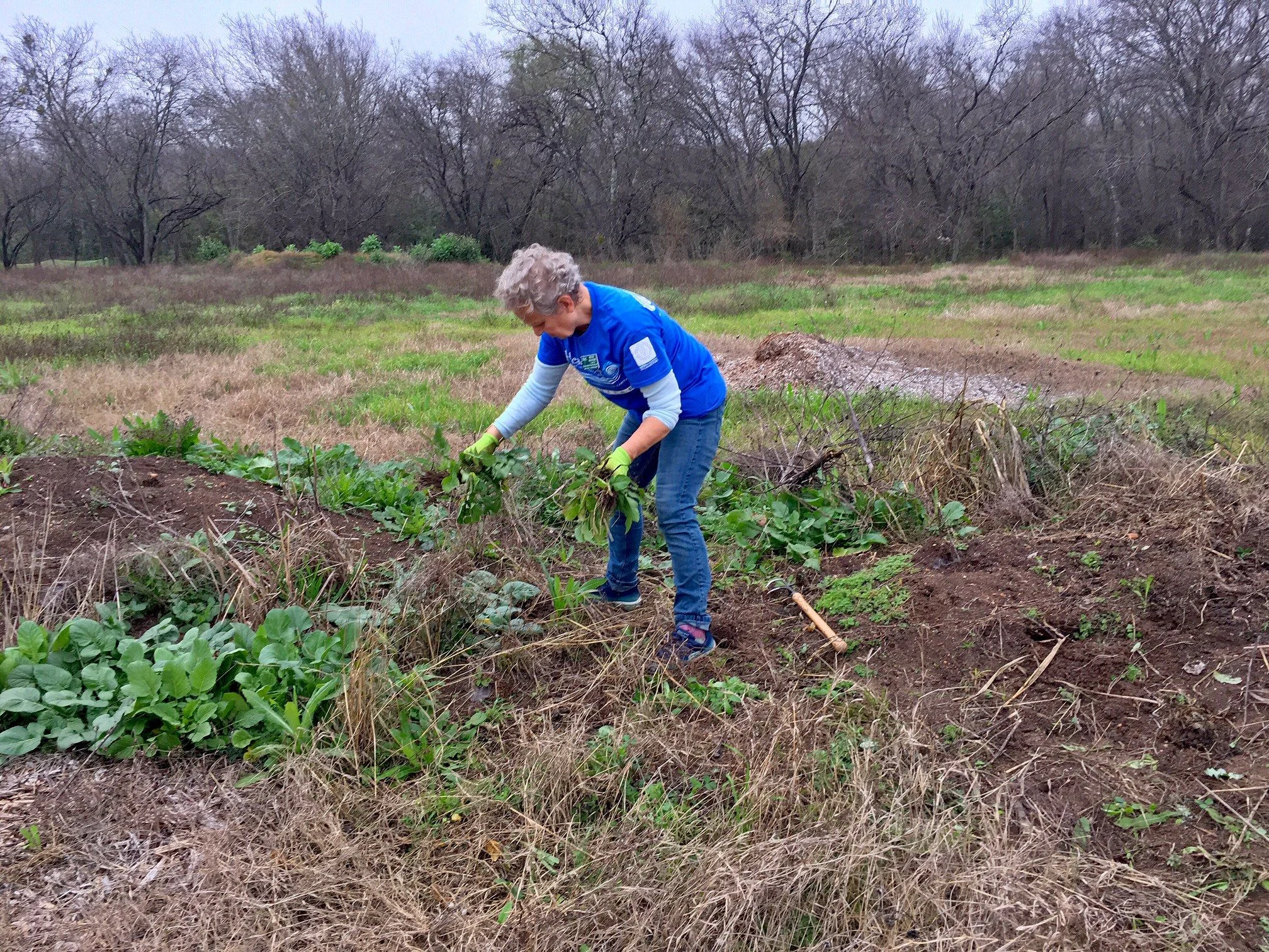 Headwaters Volunteer Workday