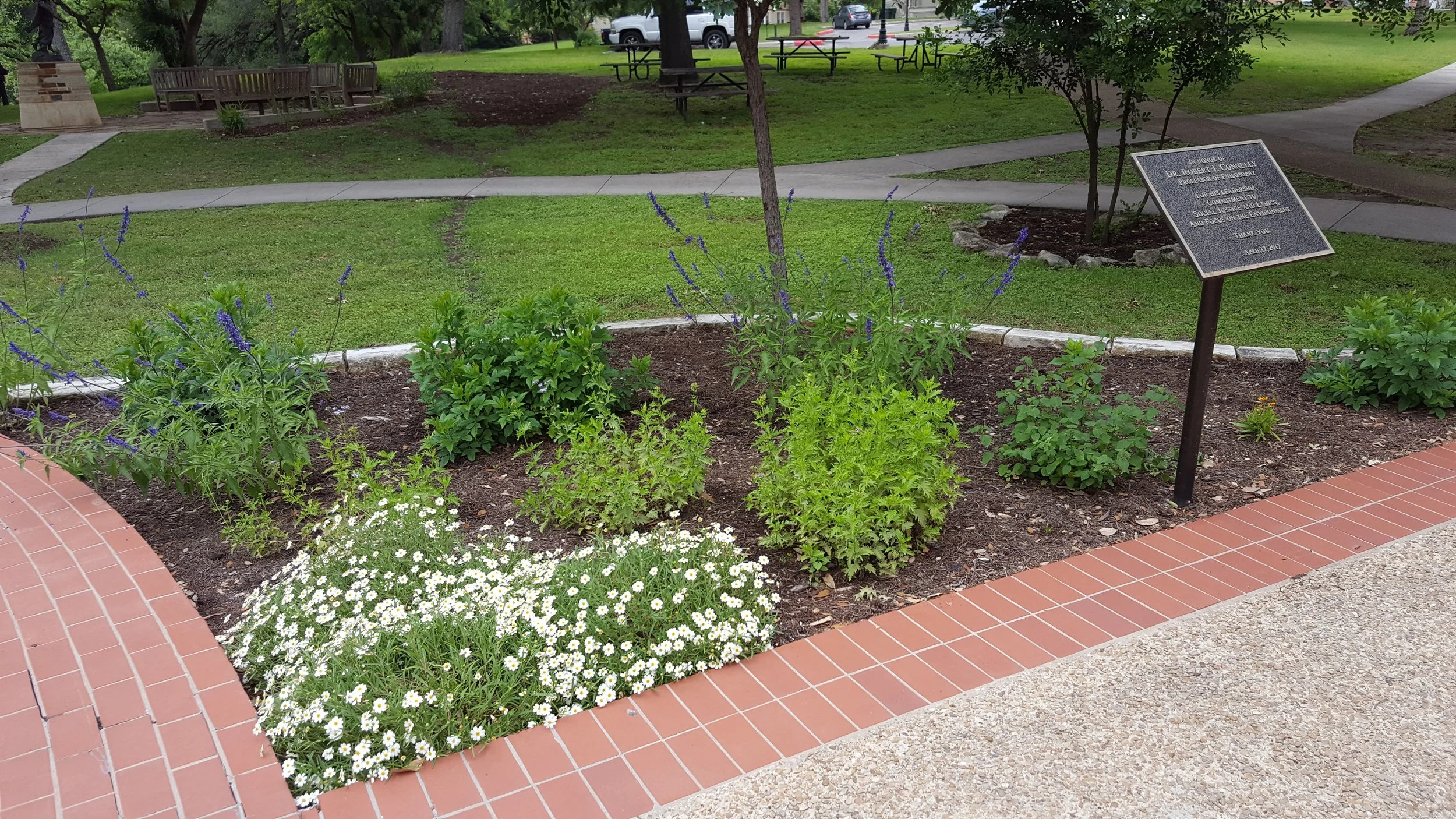 Headwaters  Grotto-Brackenridge Villa Gardens Workday