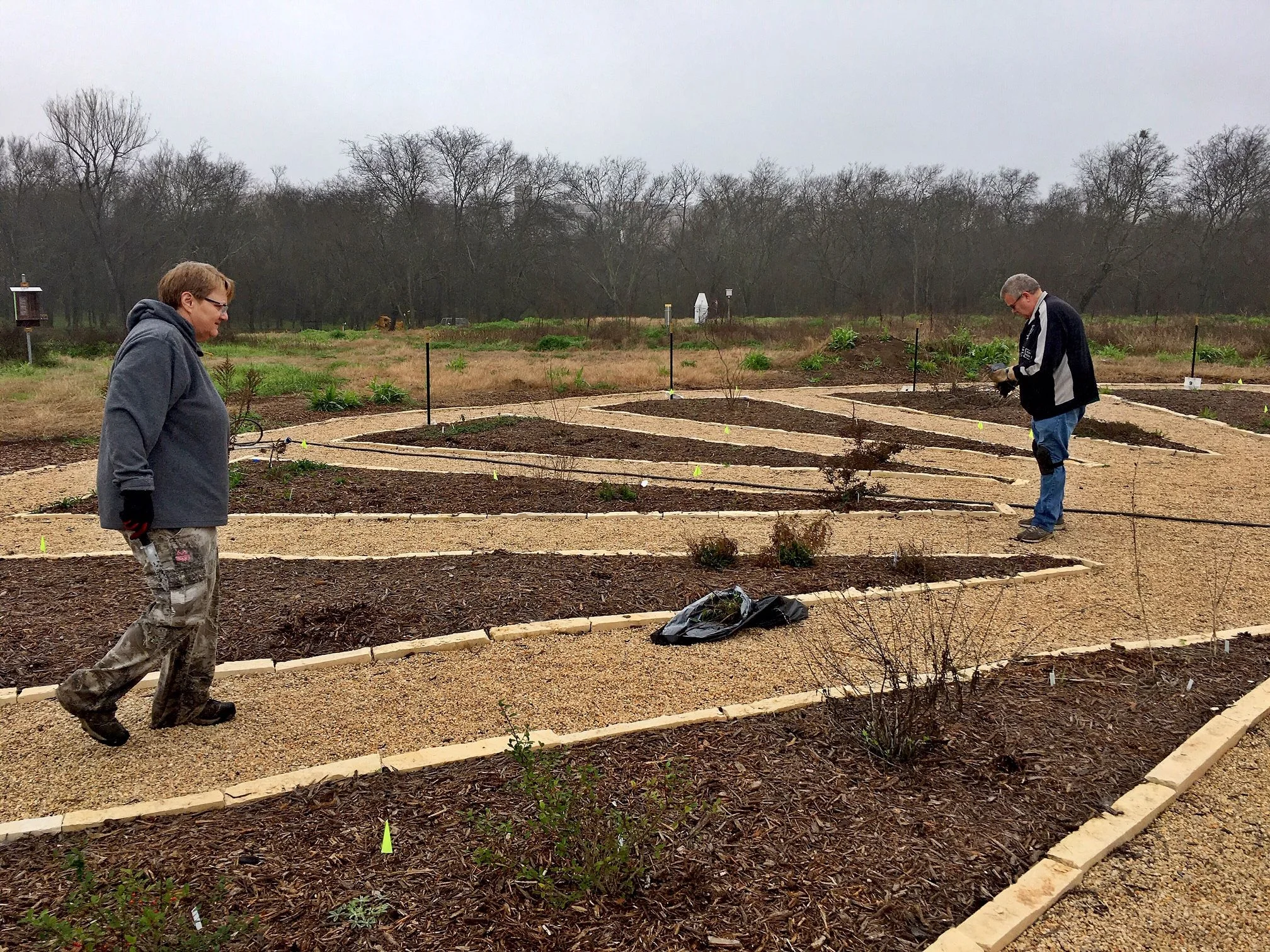 Headwaters Circle of the Springs Garden Workday