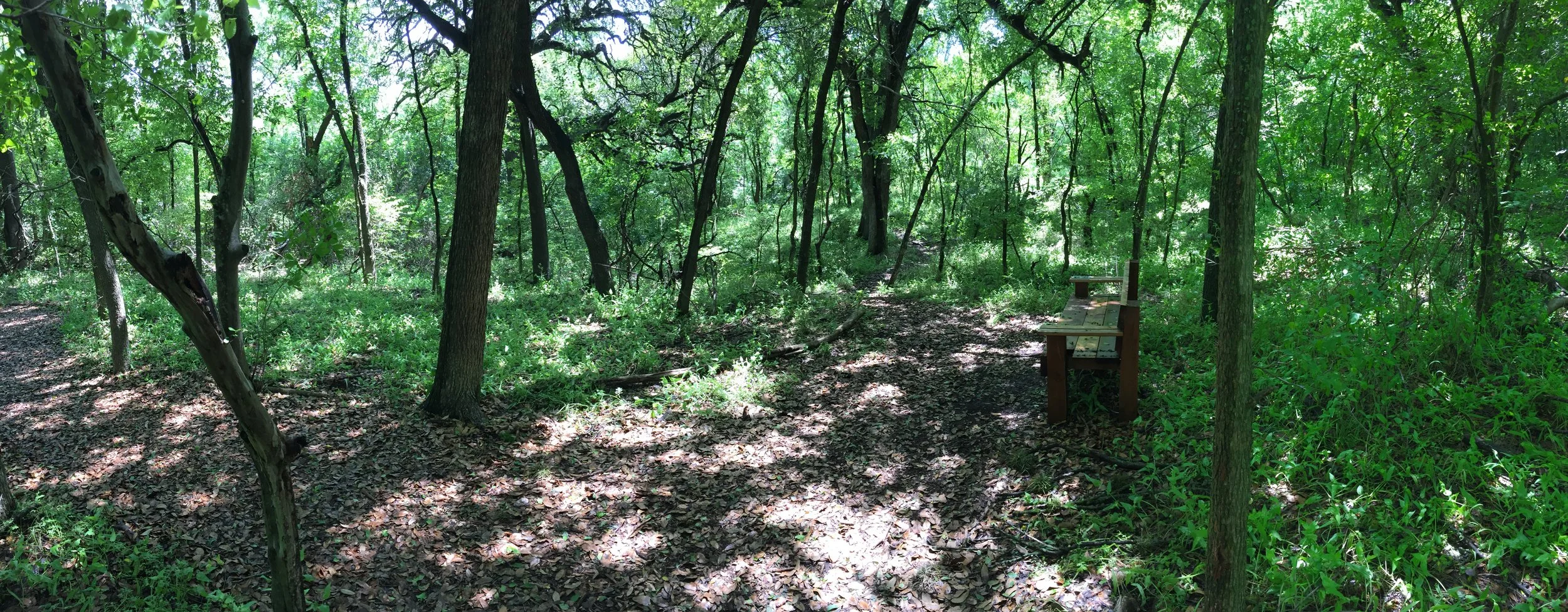 Headwaters Volunteer Workday
