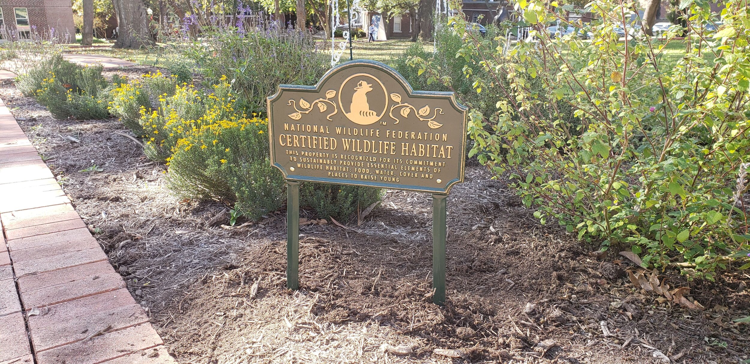 Headwaters  Grotto-Brackenridge Villa Gardens Workday