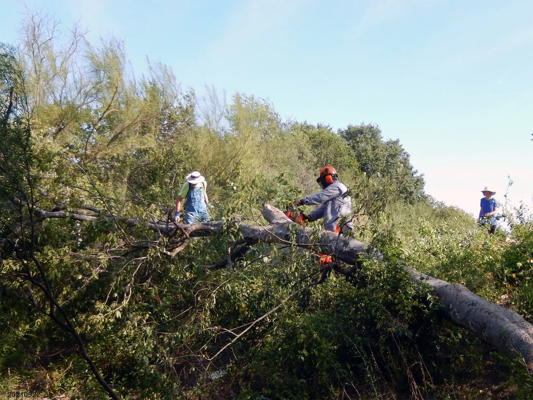 Headwaters Volunteer Workday 