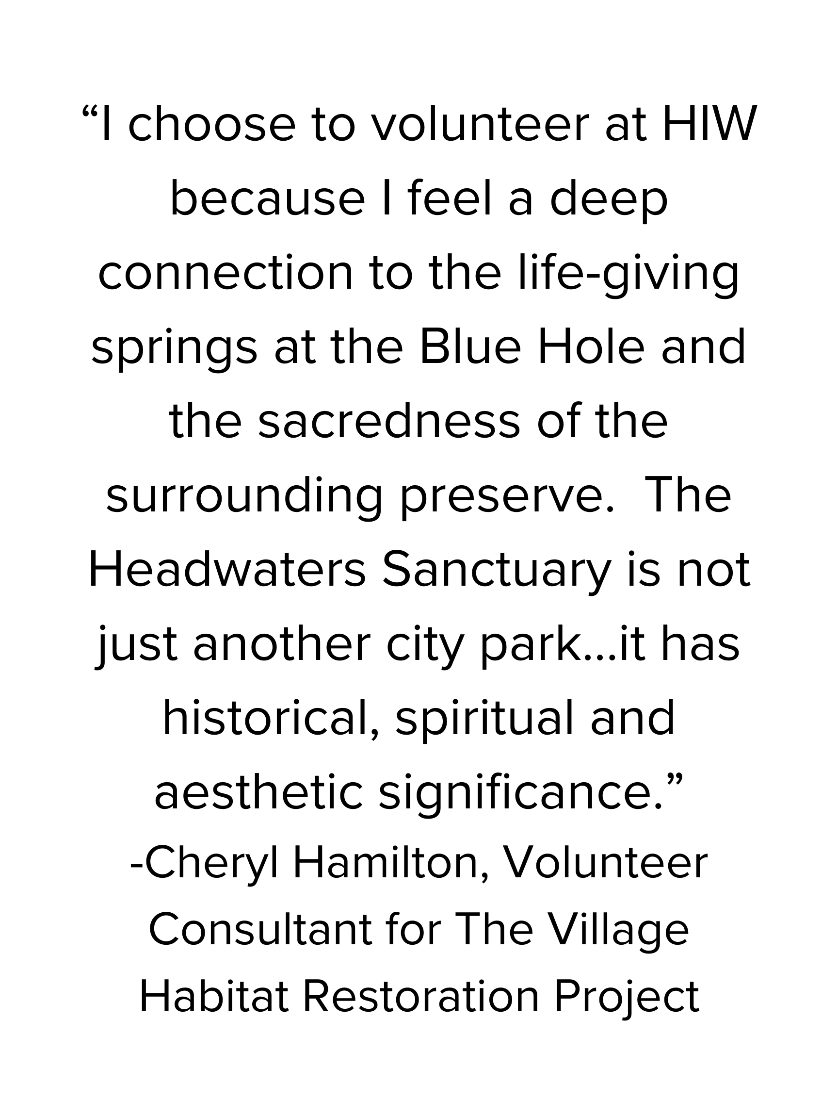 HIW Voices from the Field Excerpts (2).png
