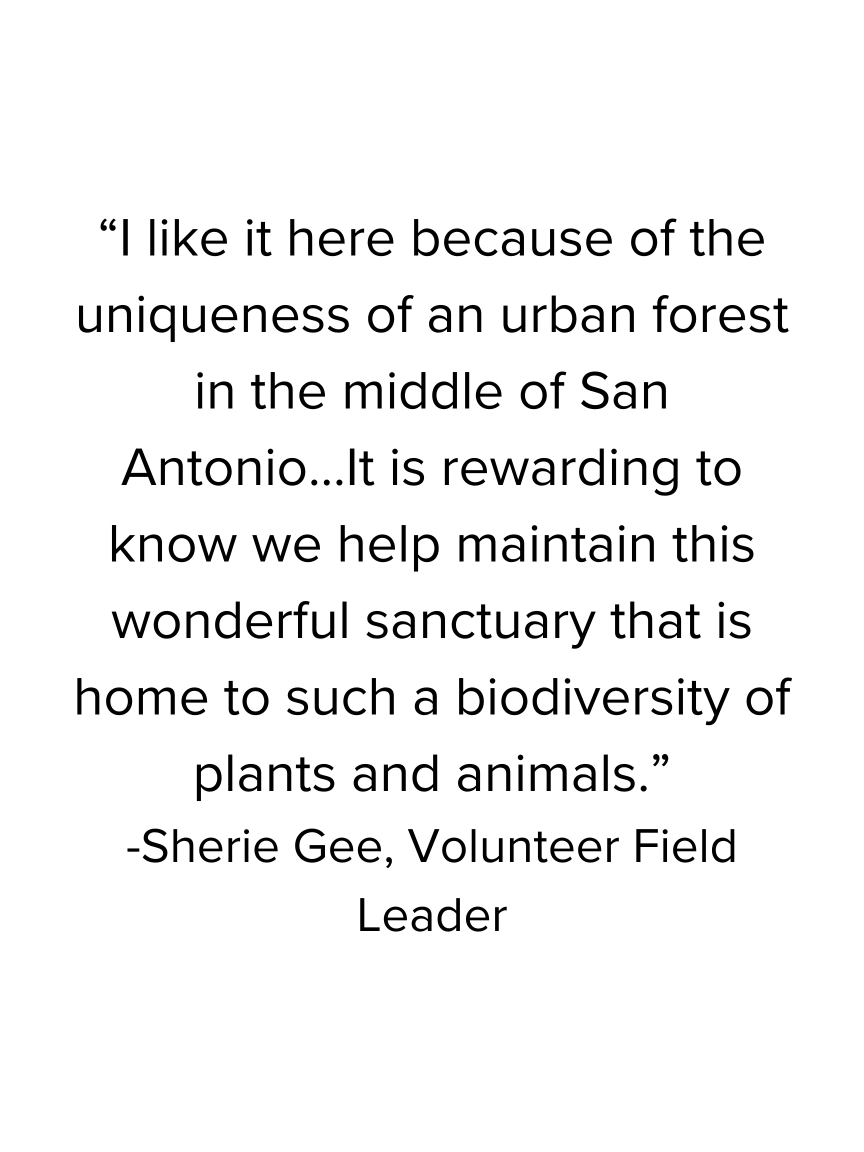 HIW Voices from the Field Excerpts (12).png