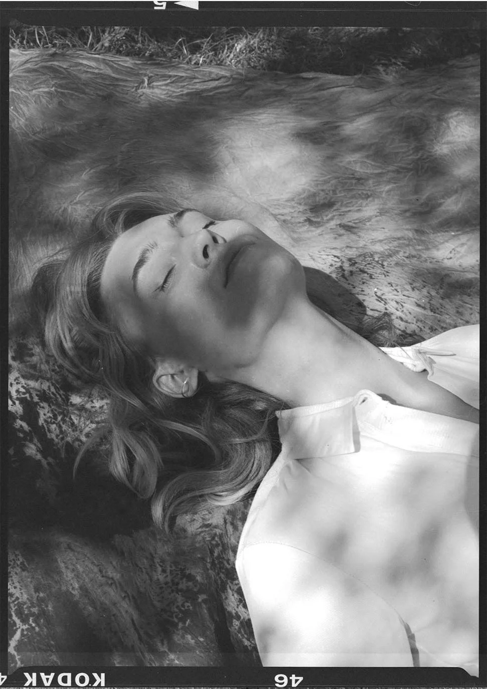 Under the tree
