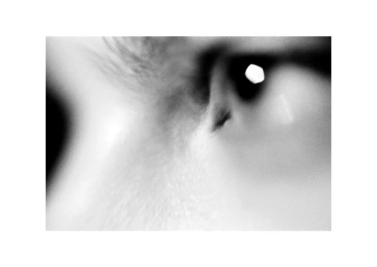 disturbia+4.webp