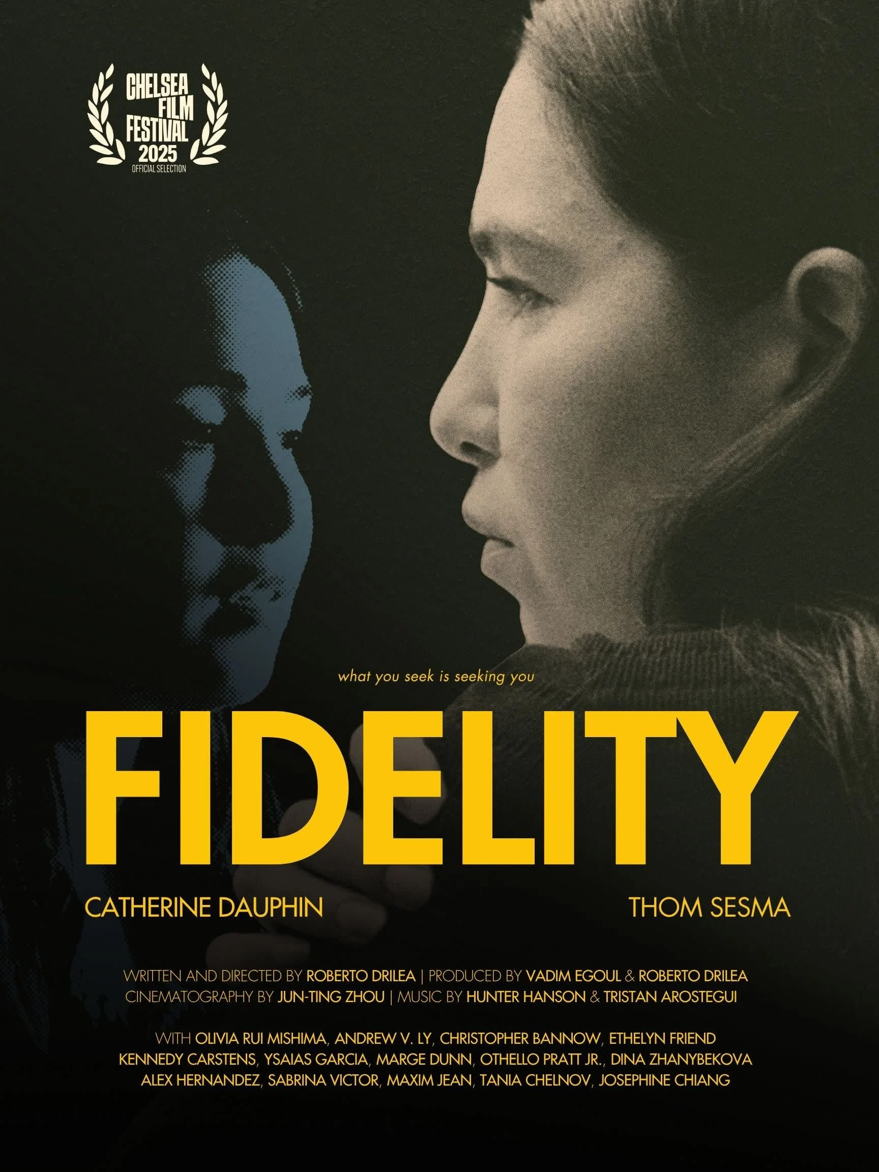 Fidelity