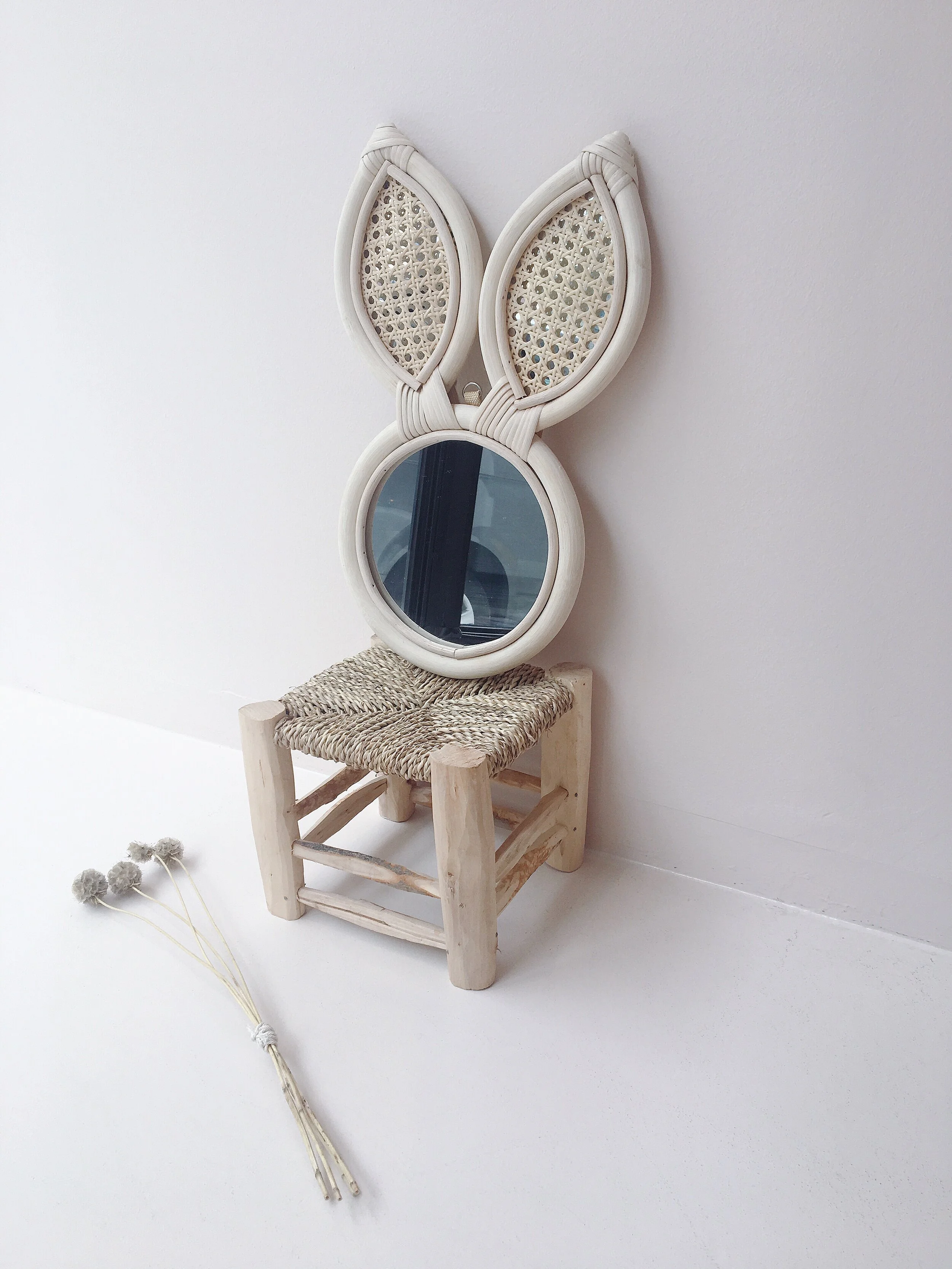 rabbit mirror