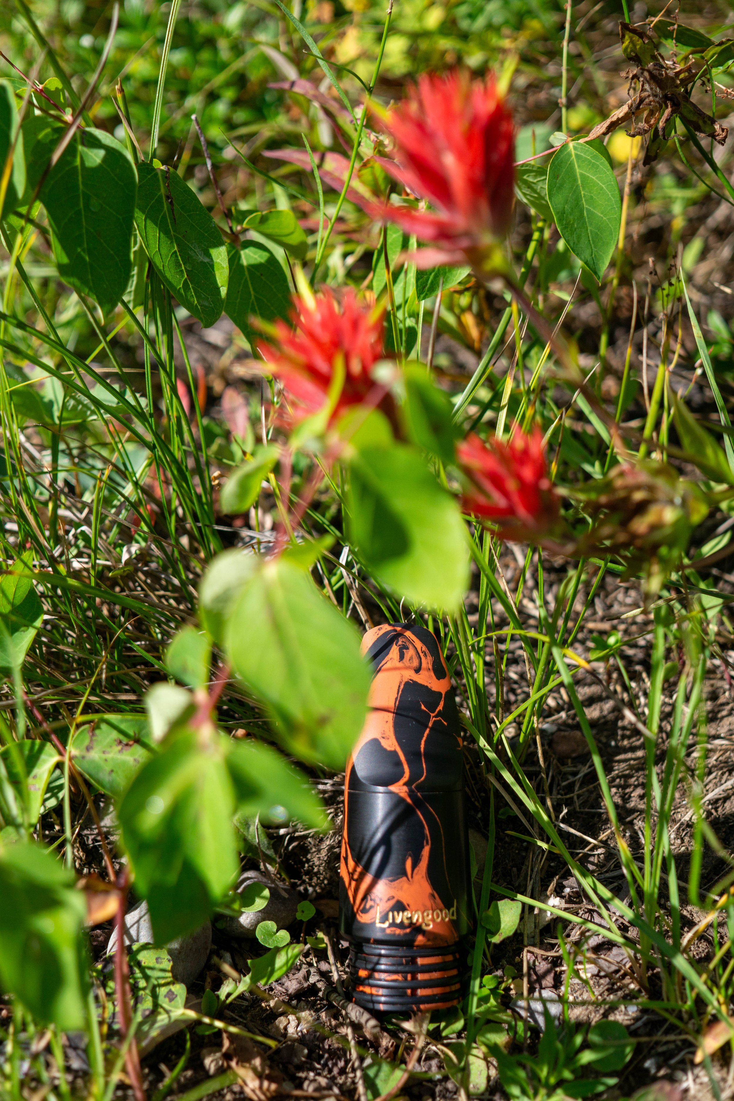Indian Paintbrush - Available in Bass and B-Flat